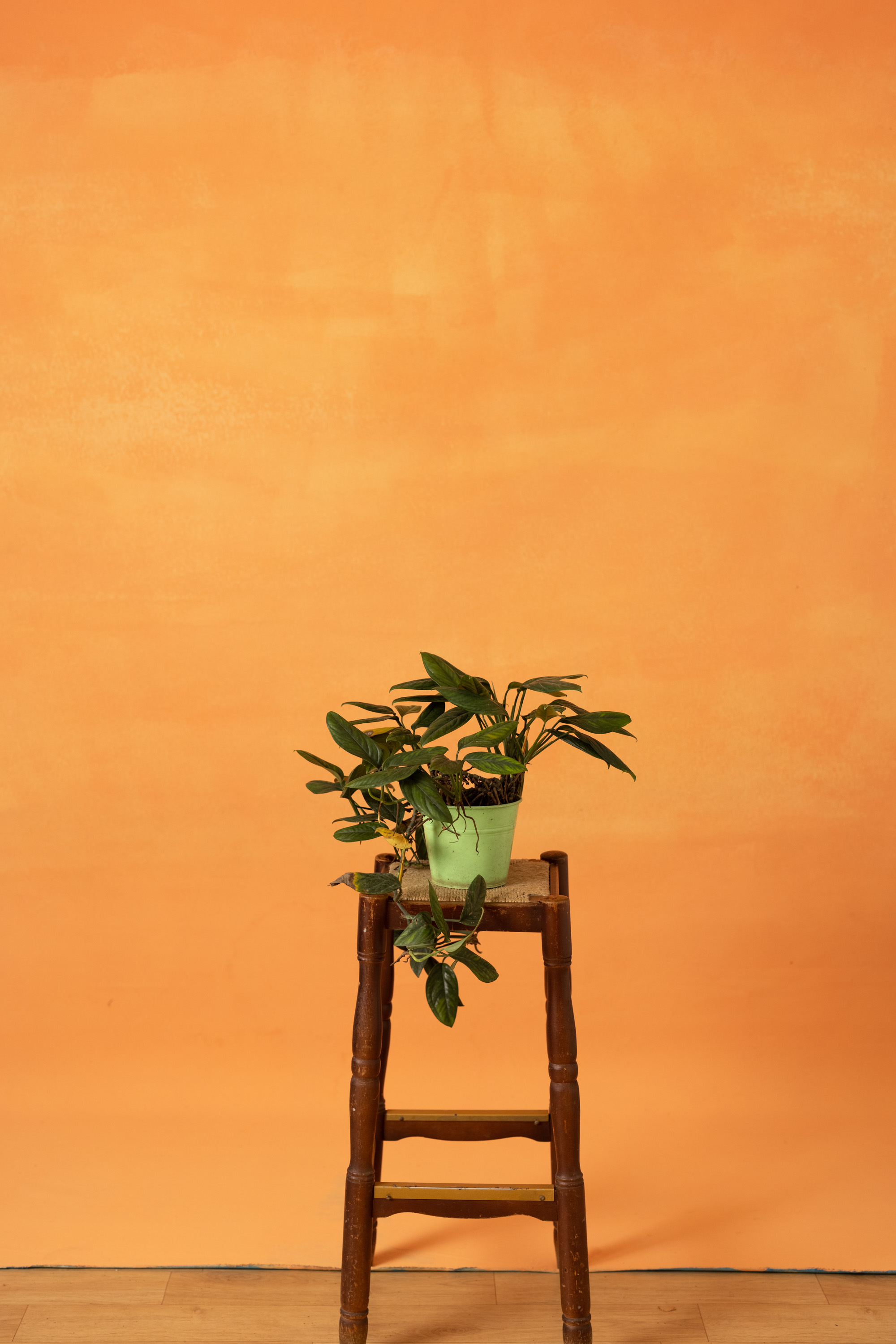 Orange Dreamscape Painted Canvas Backdrop (RN#392)