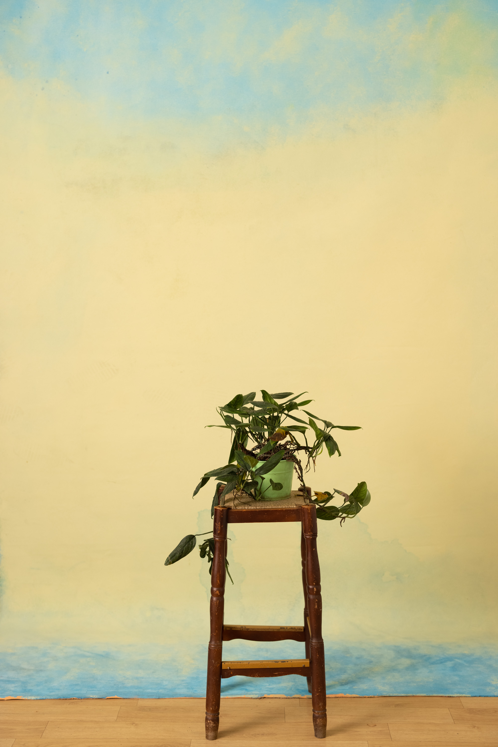Orange Dreamscape Painted Canvas Backdrop (RN#392) view 2