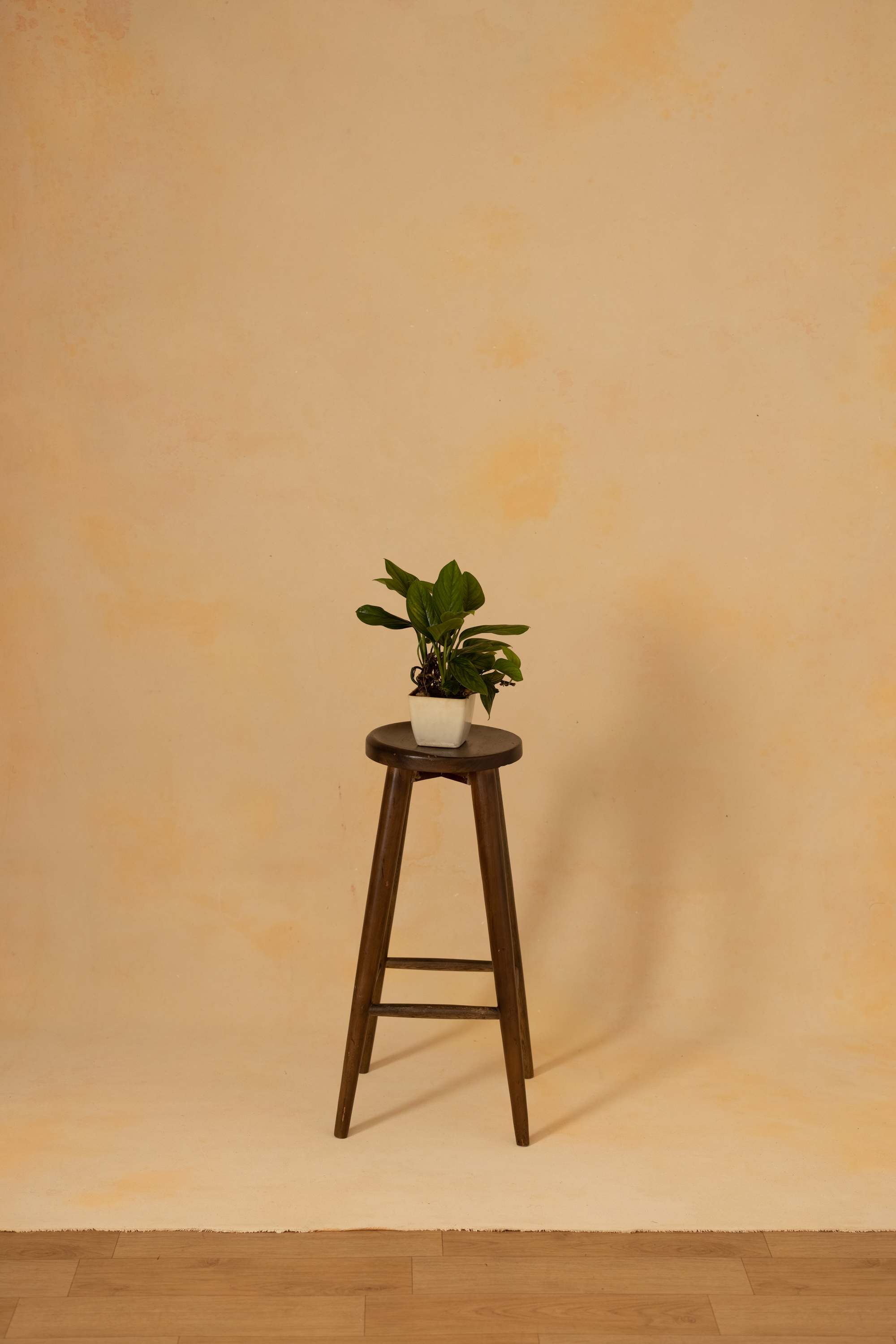 Peach Mirage Painted Canvas Backdrop (RN#393) view 2