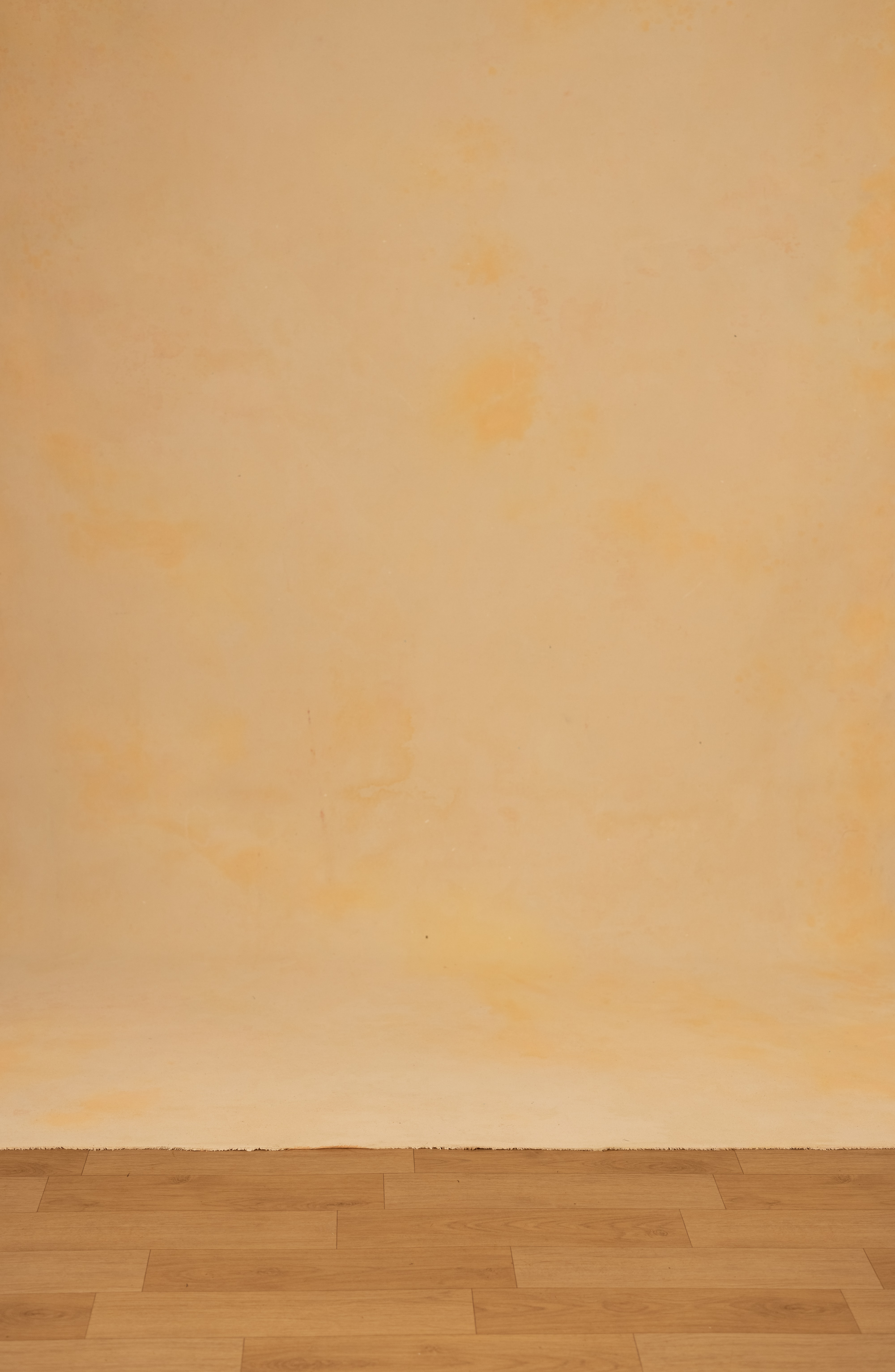 Peach Mirage Painted Canvas Backdrop (RN#393) view 3