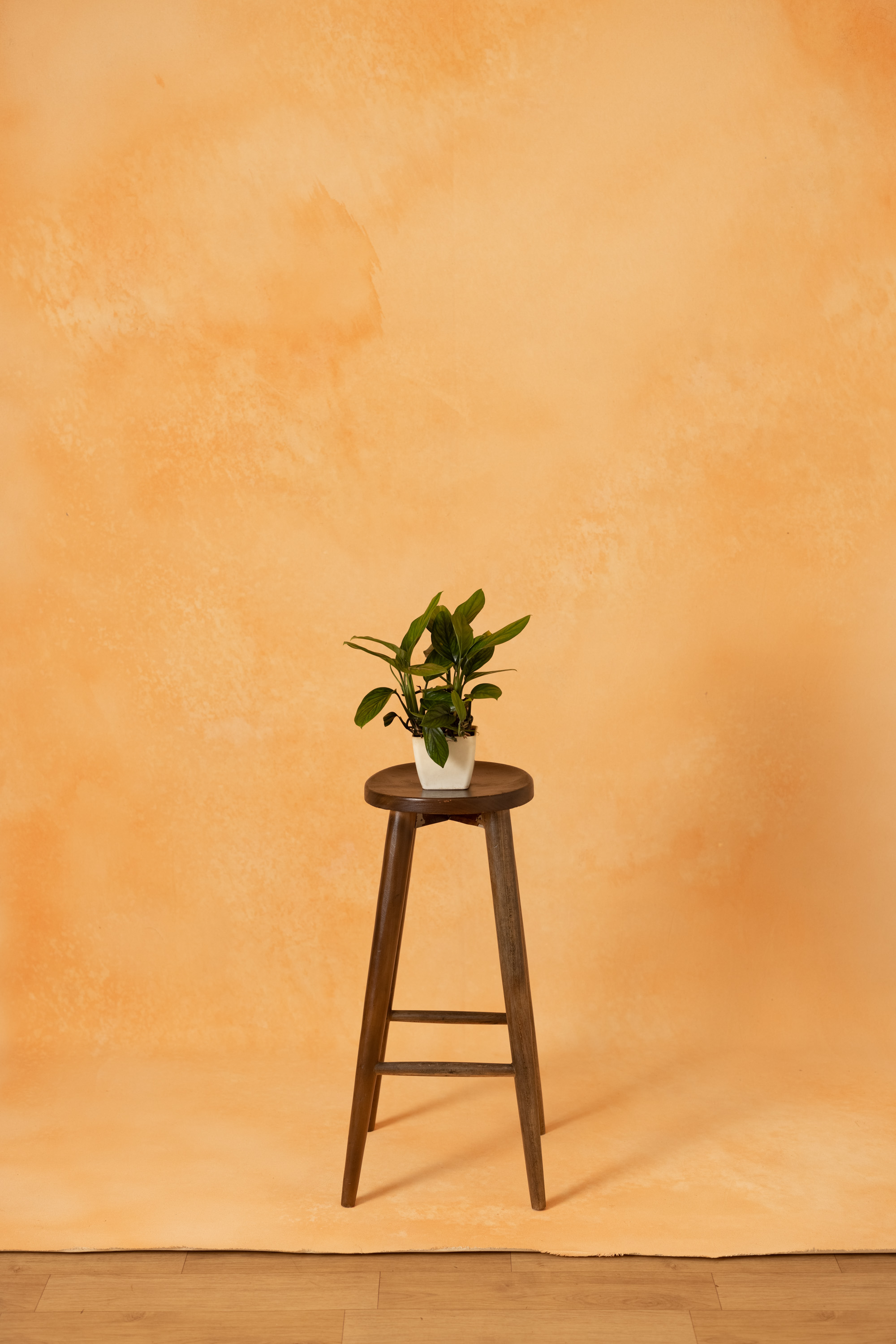 Peach Mirage Painted Canvas Backdrop (RN#393) view 4