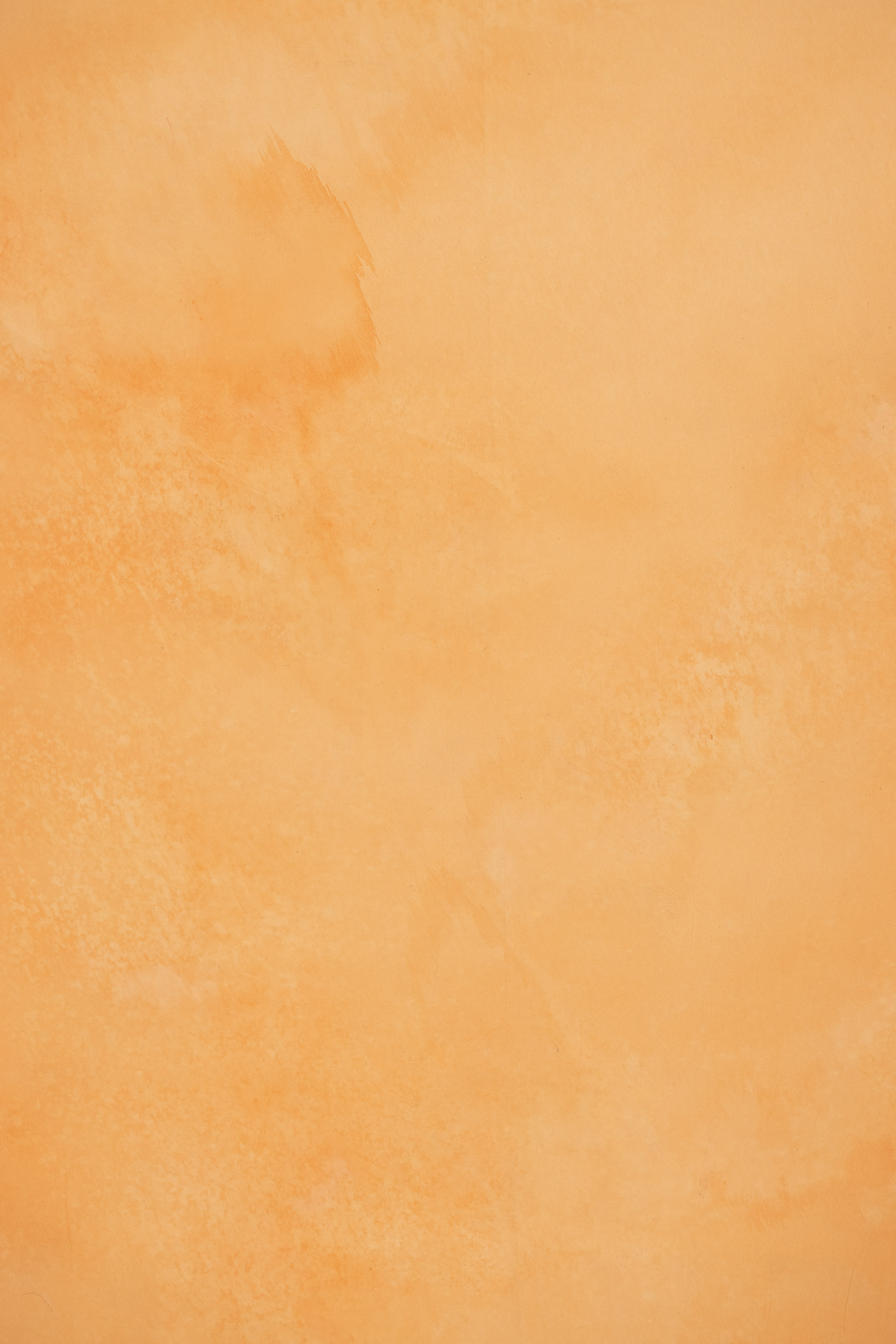 Peach Mirage Painted Canvas Backdrop (RN#393) view 5