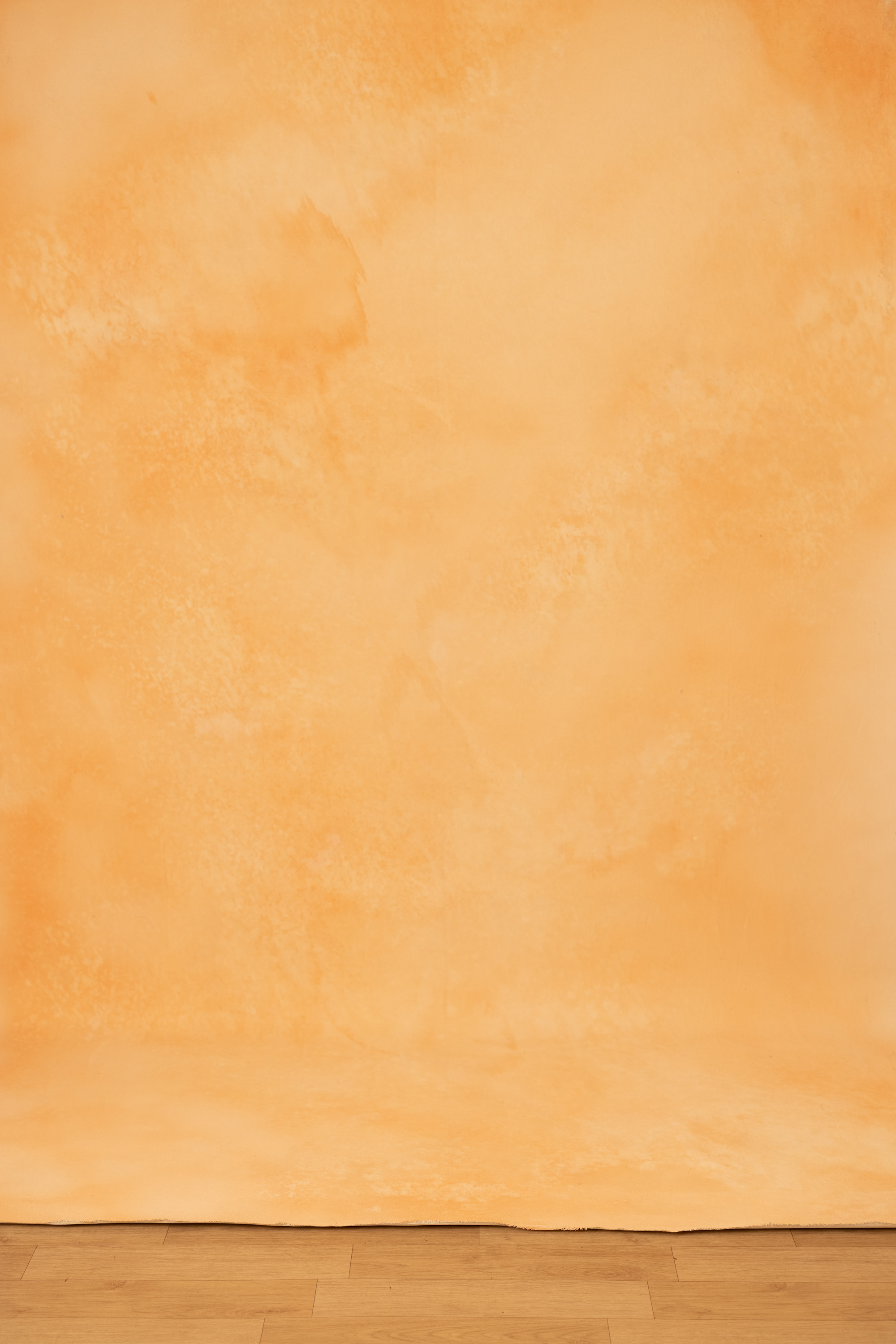 Peach Mirage Painted Canvas Backdrop (RN#393) view 6