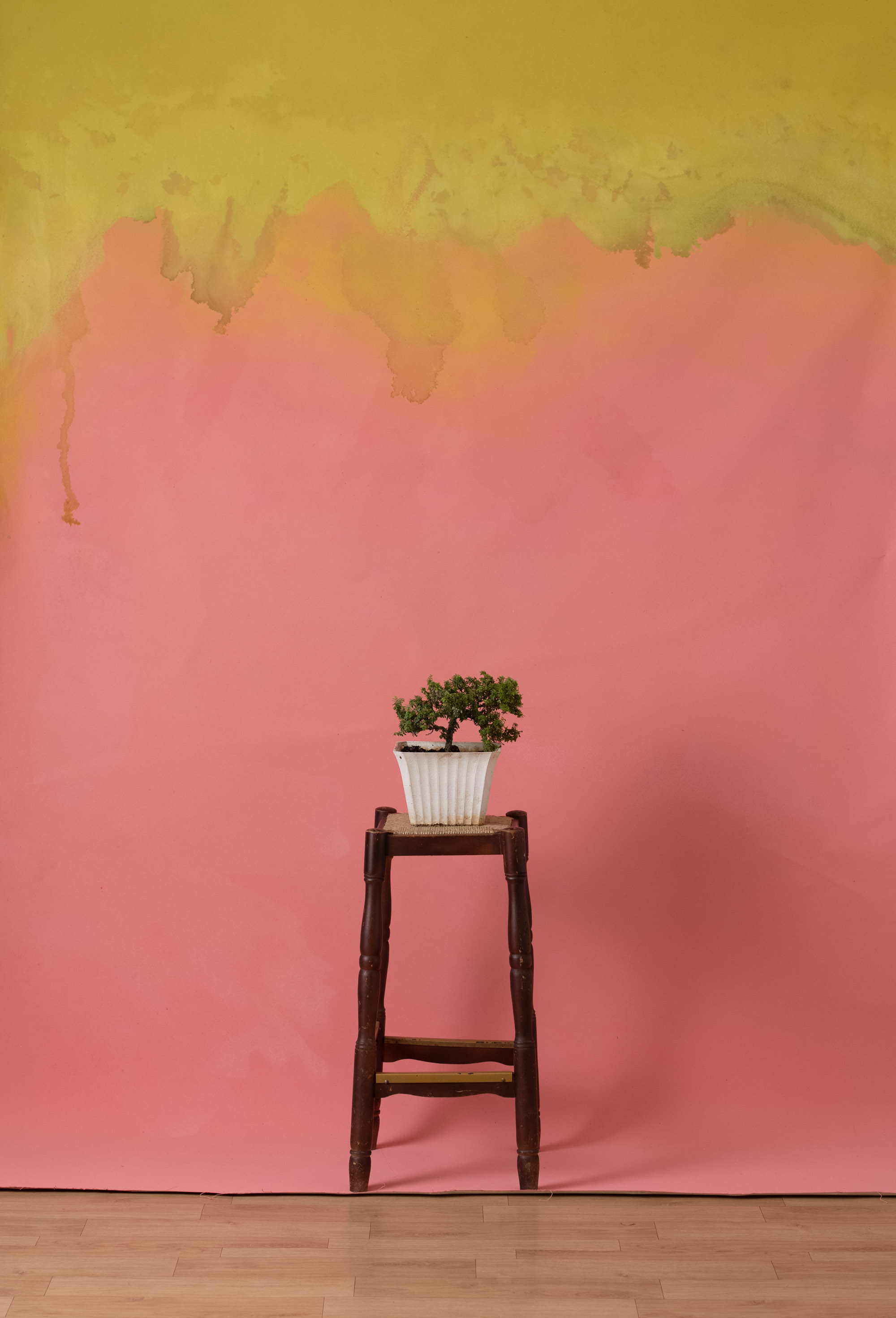 TulipPink Painted Canvas Backdrop (RN#342)