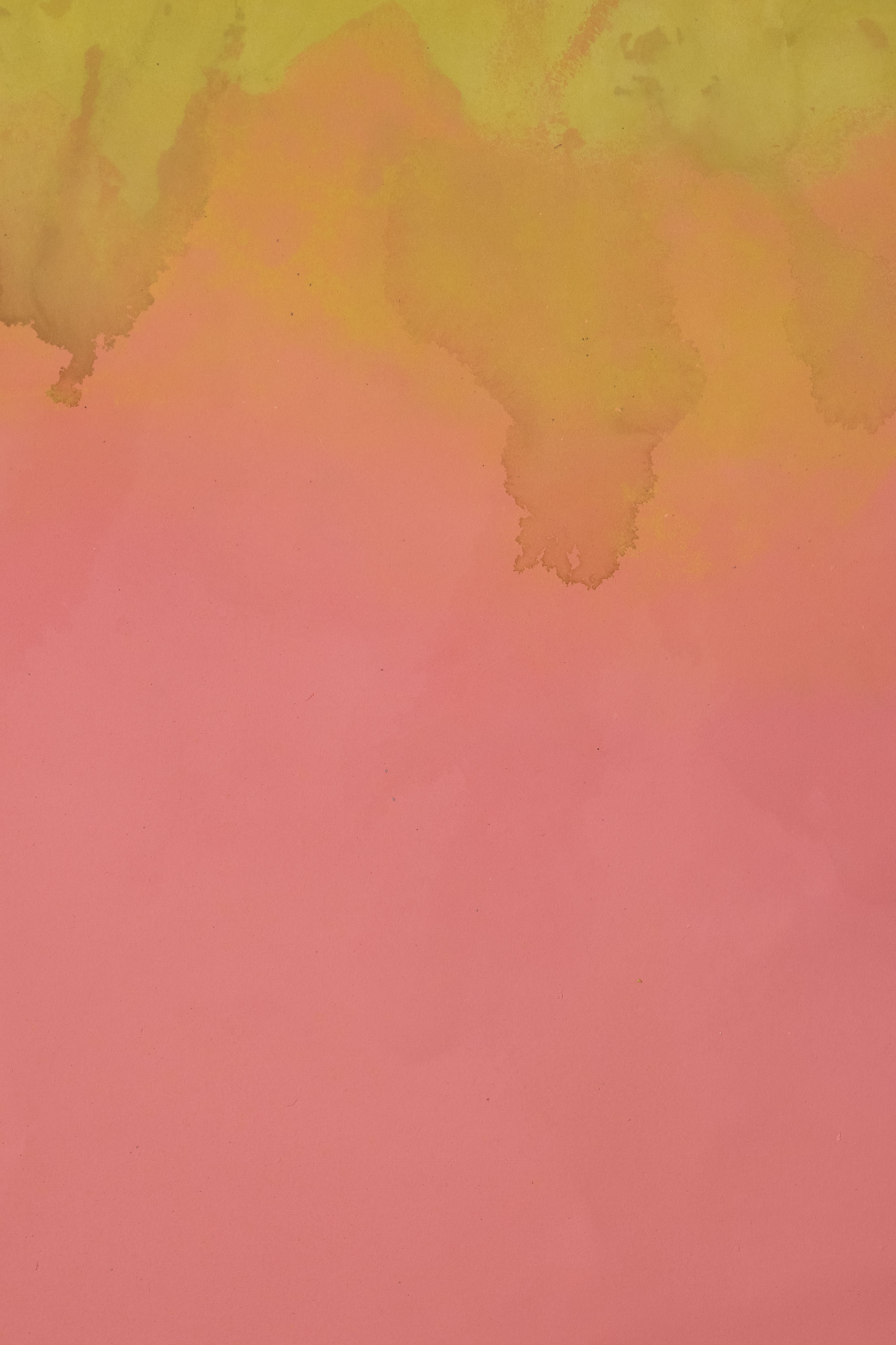 TulipPink  Painted Canvas Backdrop (RN#342) view 2