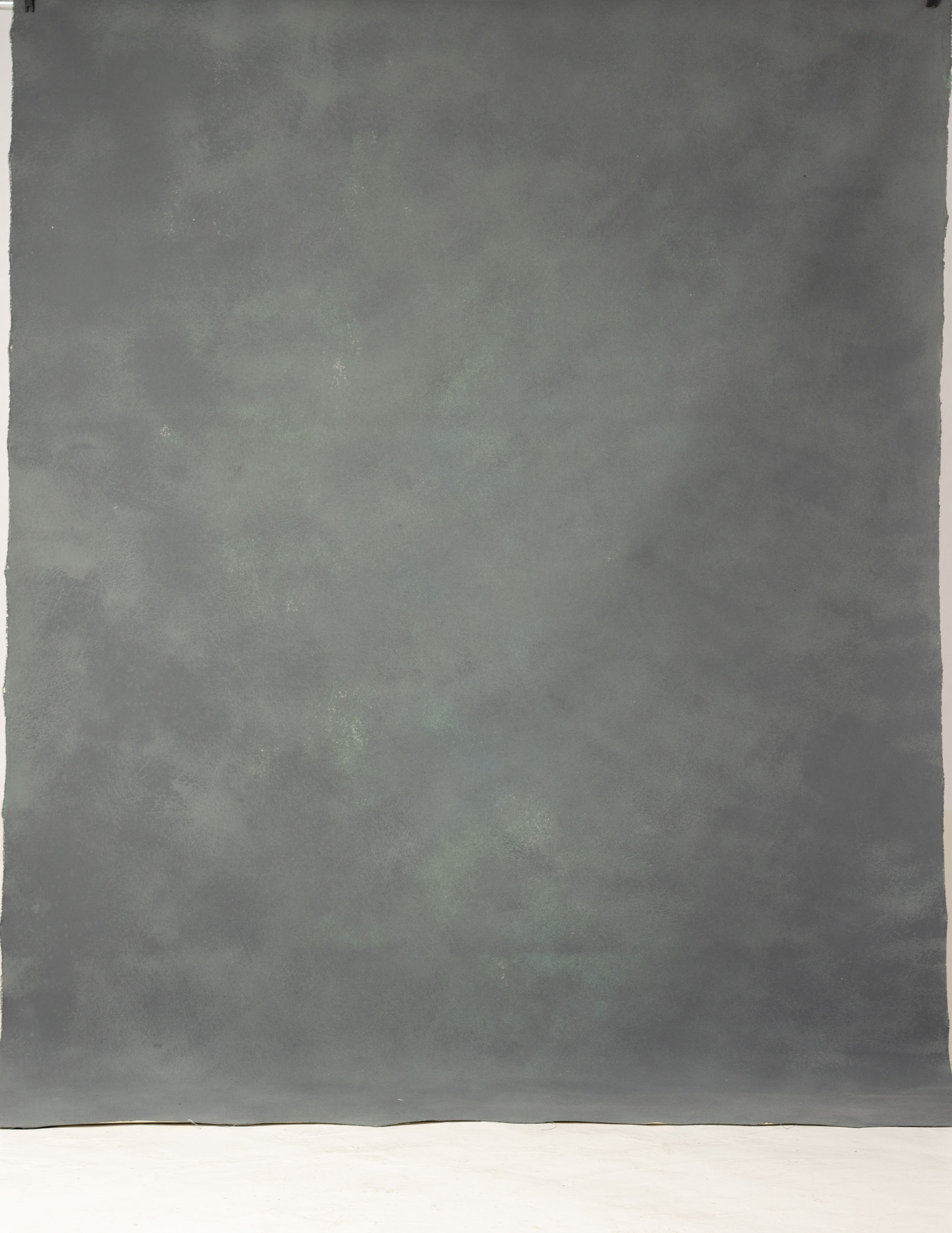 Verdant Mist Painted Canvas Backdrop (RN#230) view 4