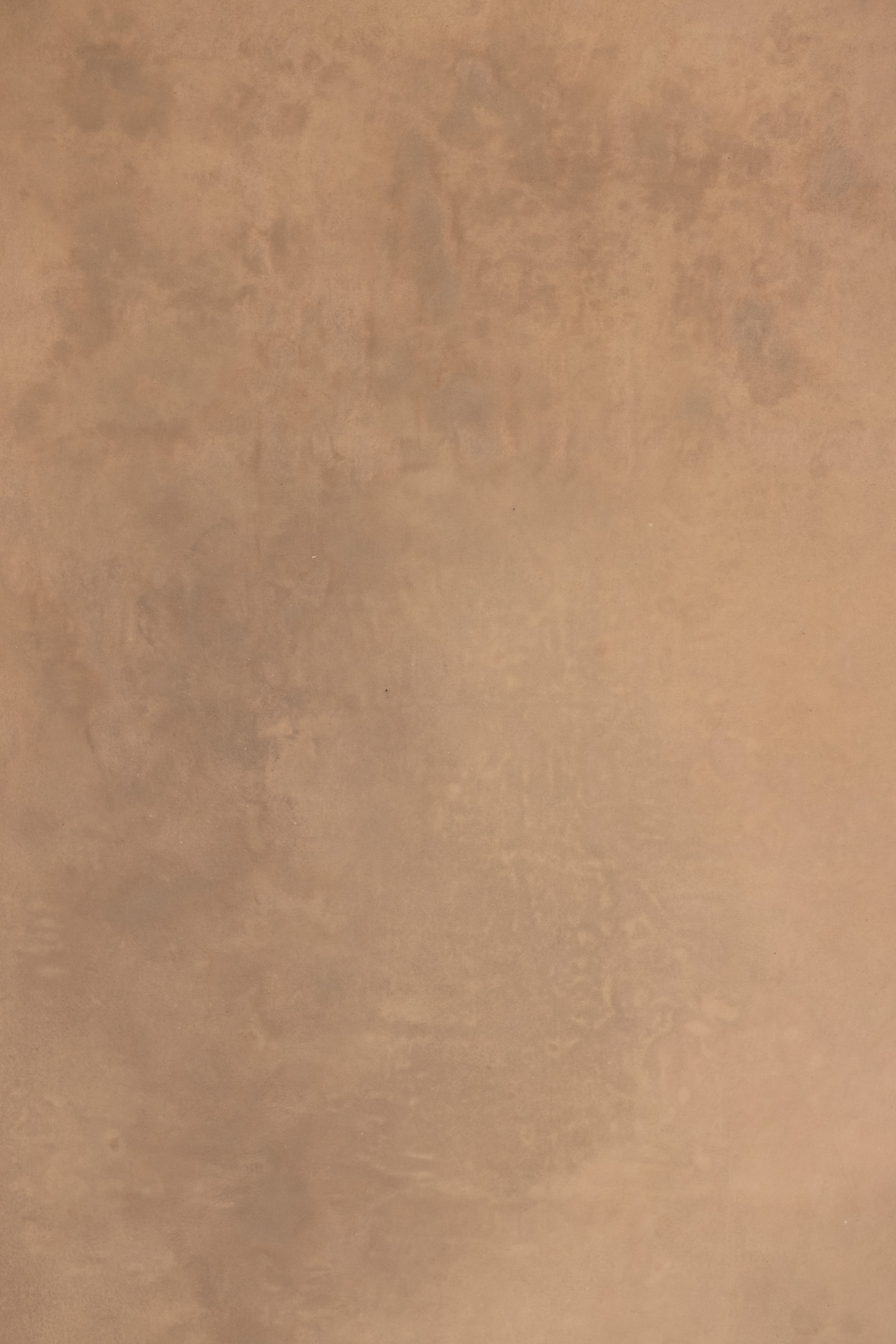 Timberwolf Painted Canvas Backdrop (RN#383) view 2