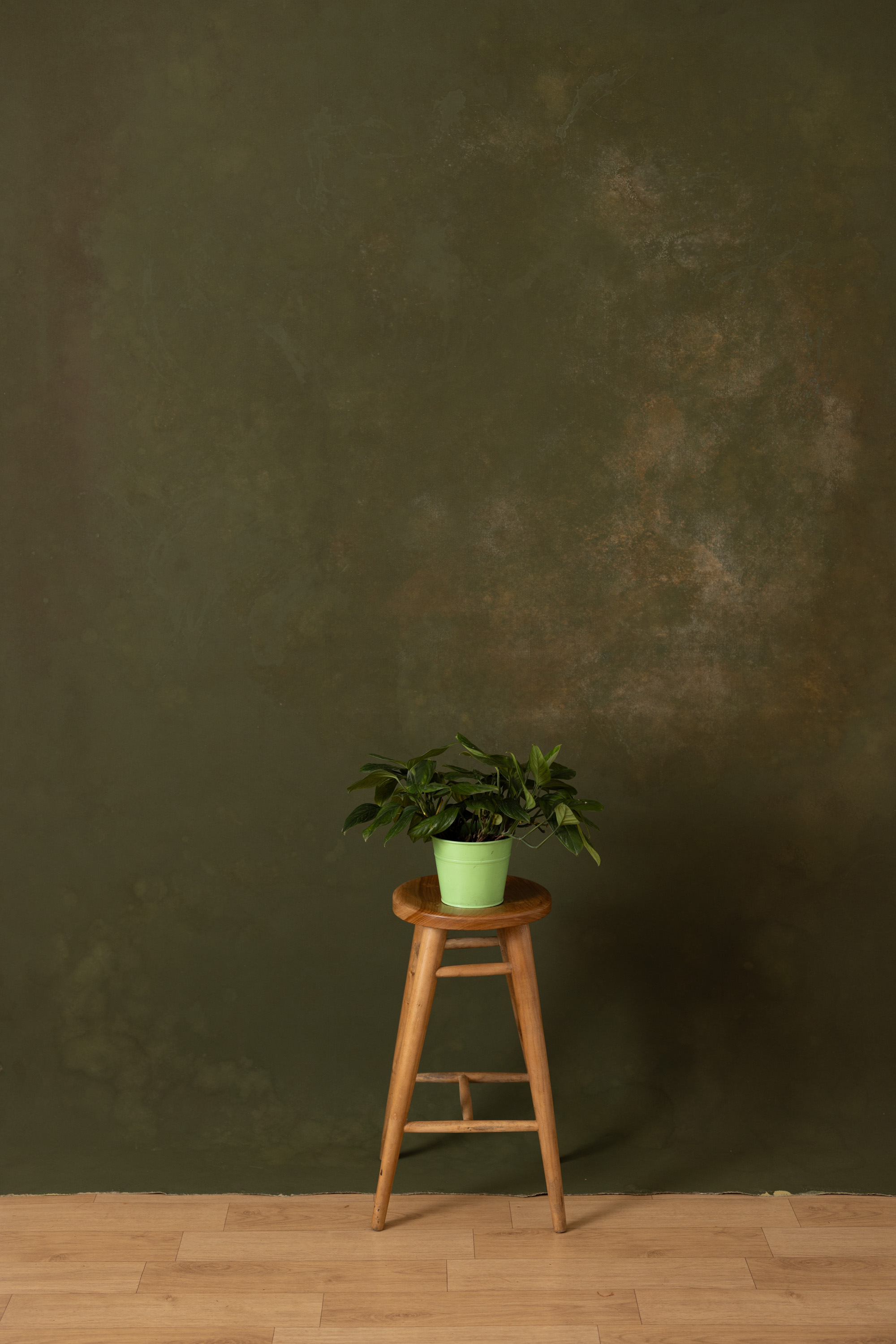 Foggy Birch Beaver  Painted Canvas Backdrop (RN#373) view 2