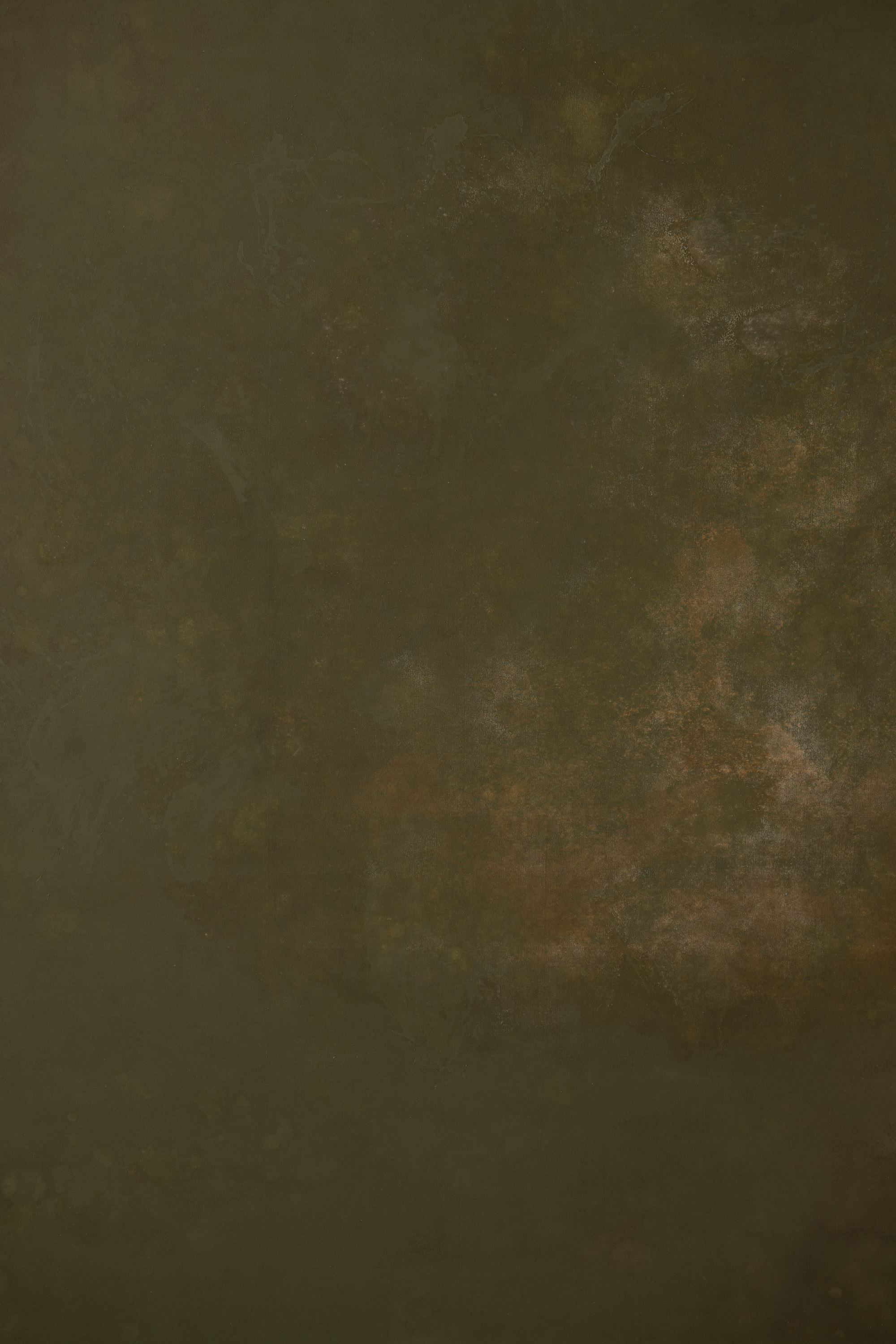 Foggy Birch Beaver  Painted Canvas Backdrop (RN#373) view 3
