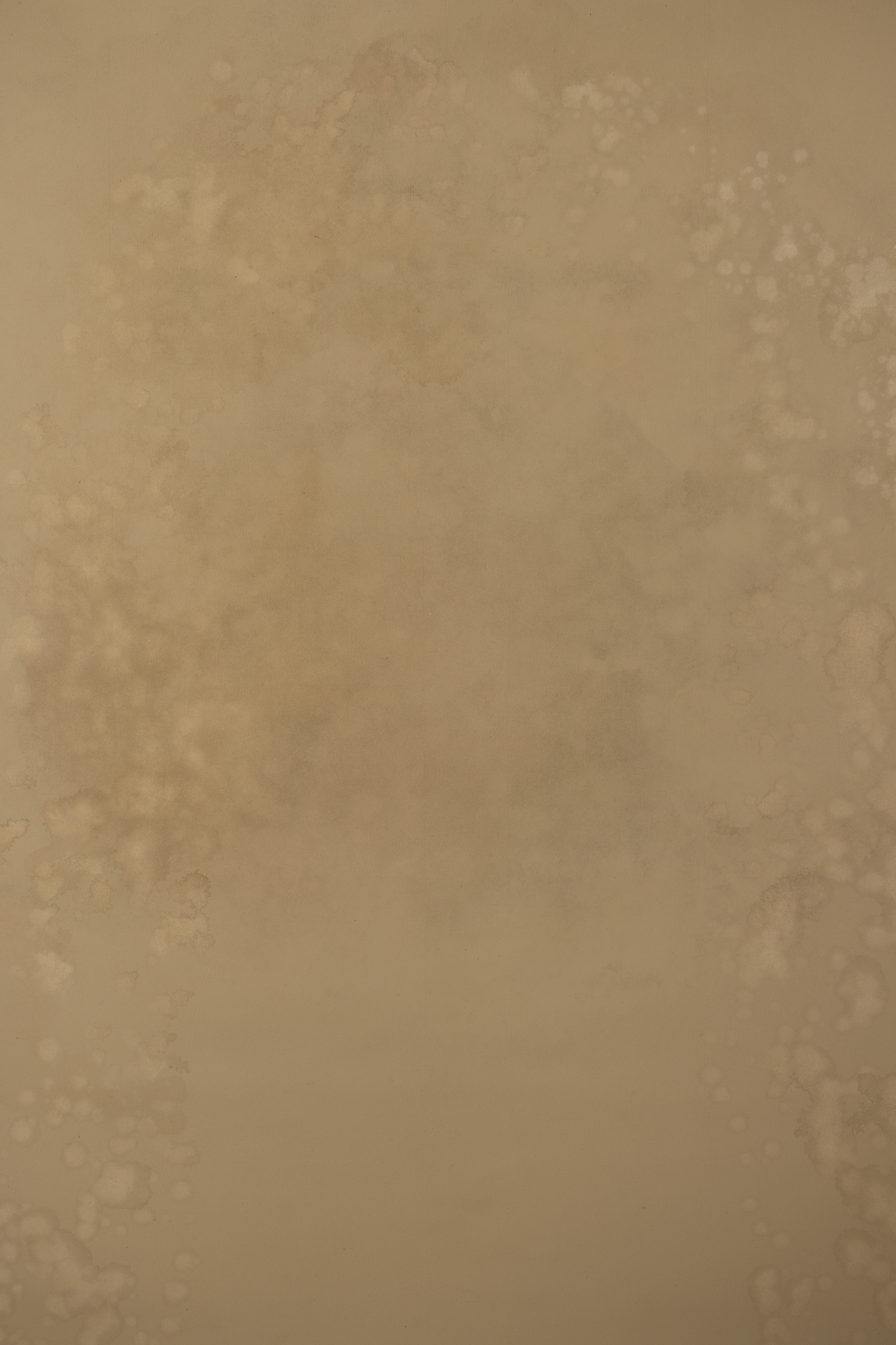 Foggy Birch Beaver  Painted Canvas Backdrop (RN#373) view 6