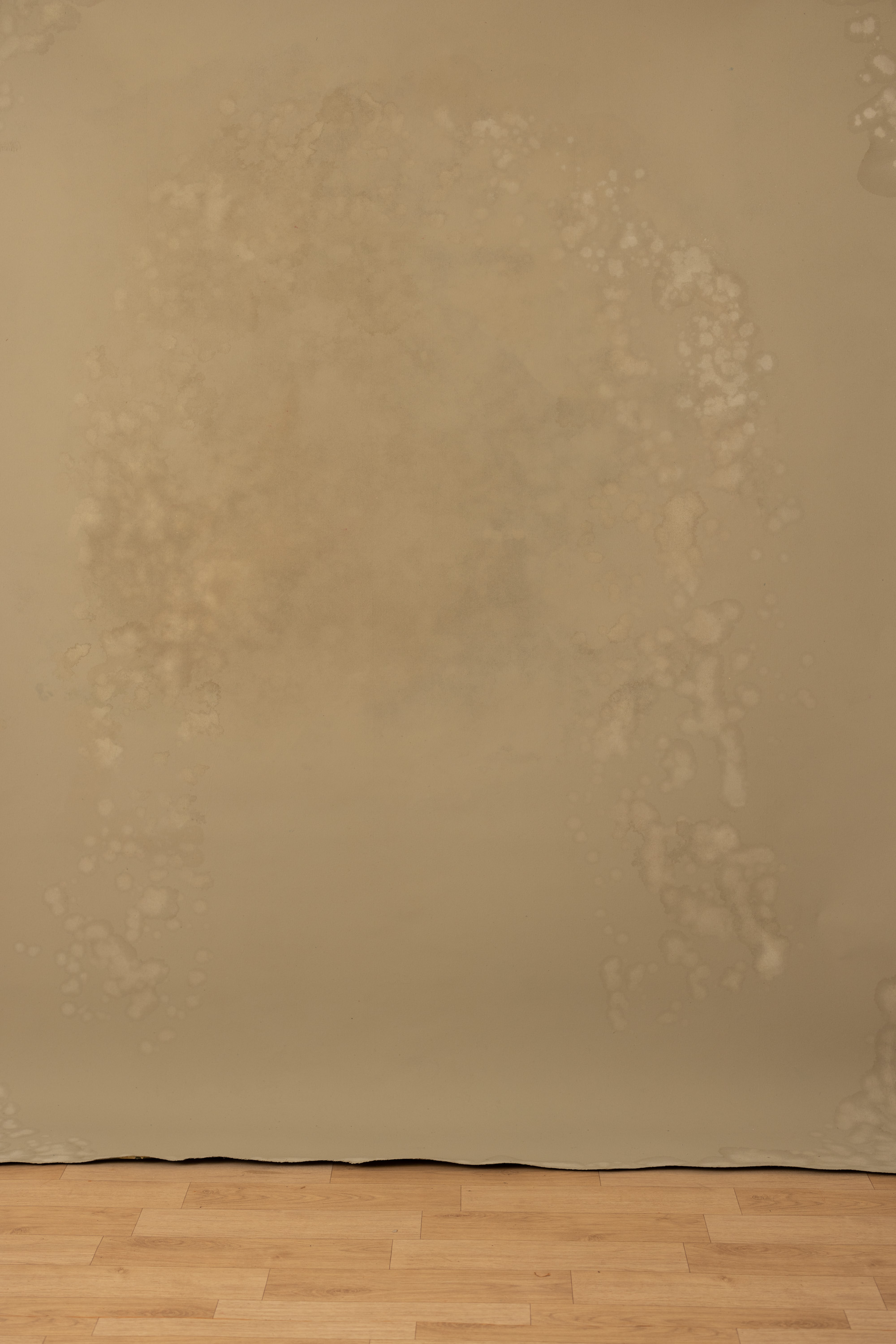 Foggy Birch Beaver  Painted Canvas Backdrop (RN#373) view 7
