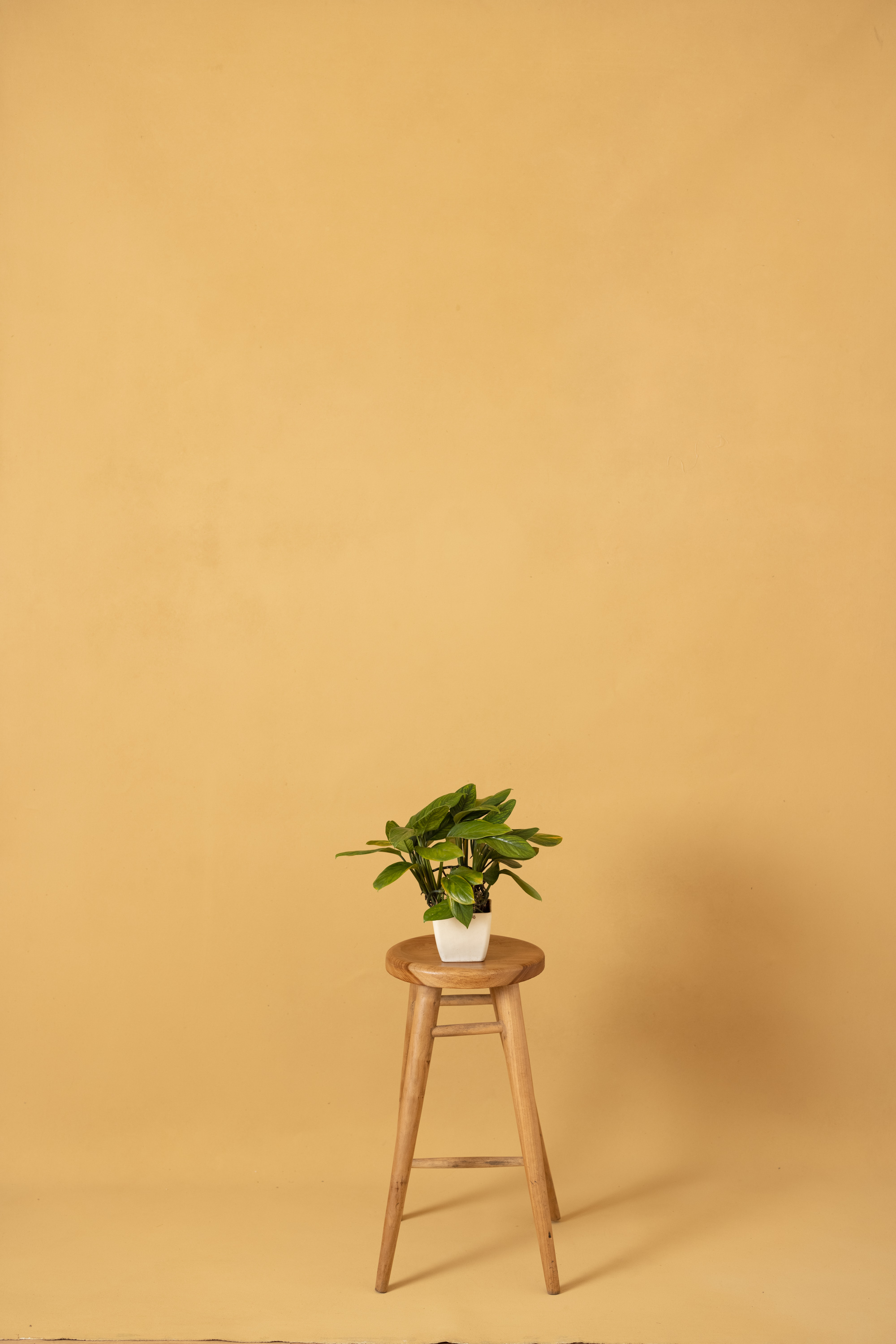 Textured Warm Beige Painted Canvas Backdrop (RN#276)