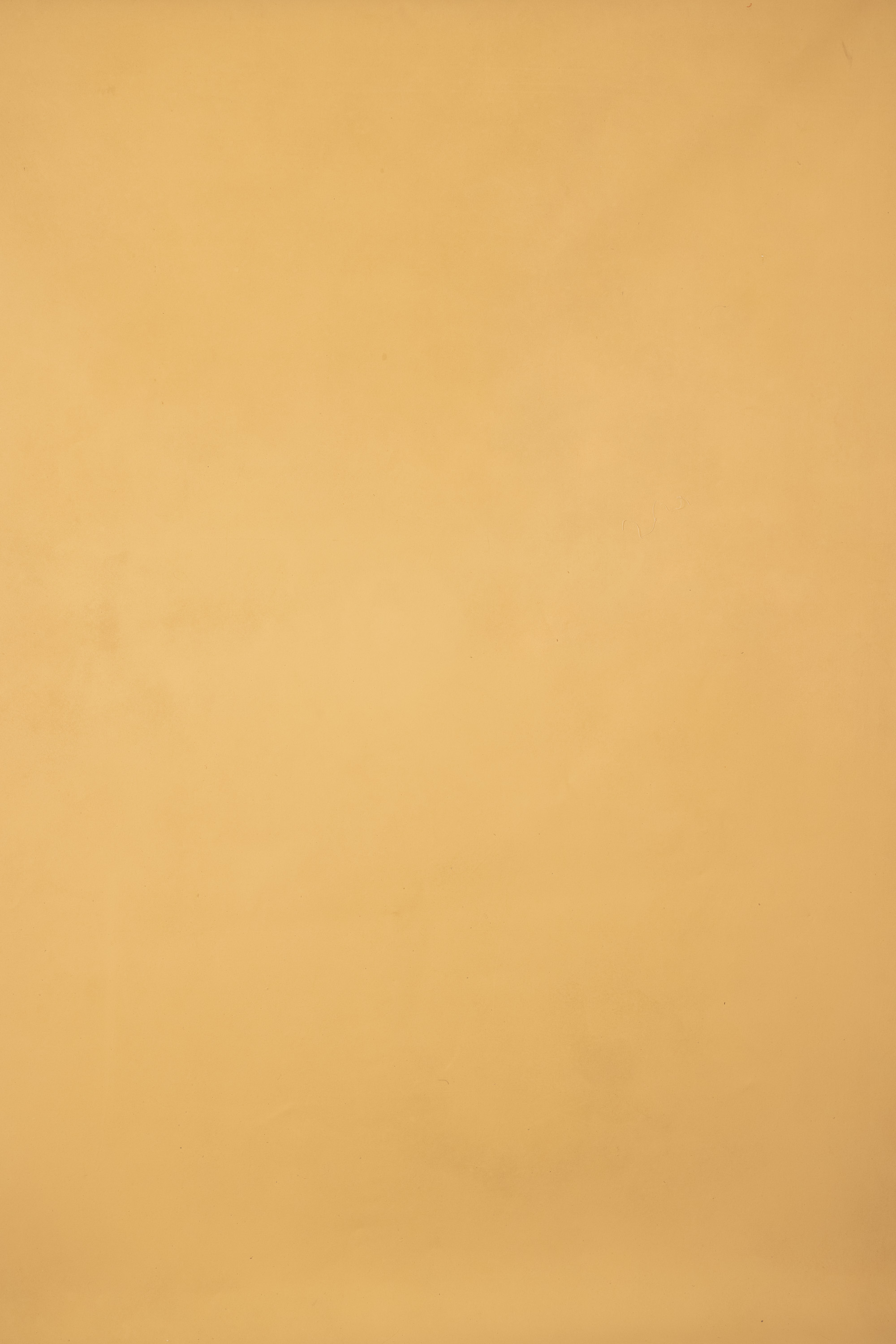 Textured Warm Beige Painted Canvas Backdrop (RN#276) view 3