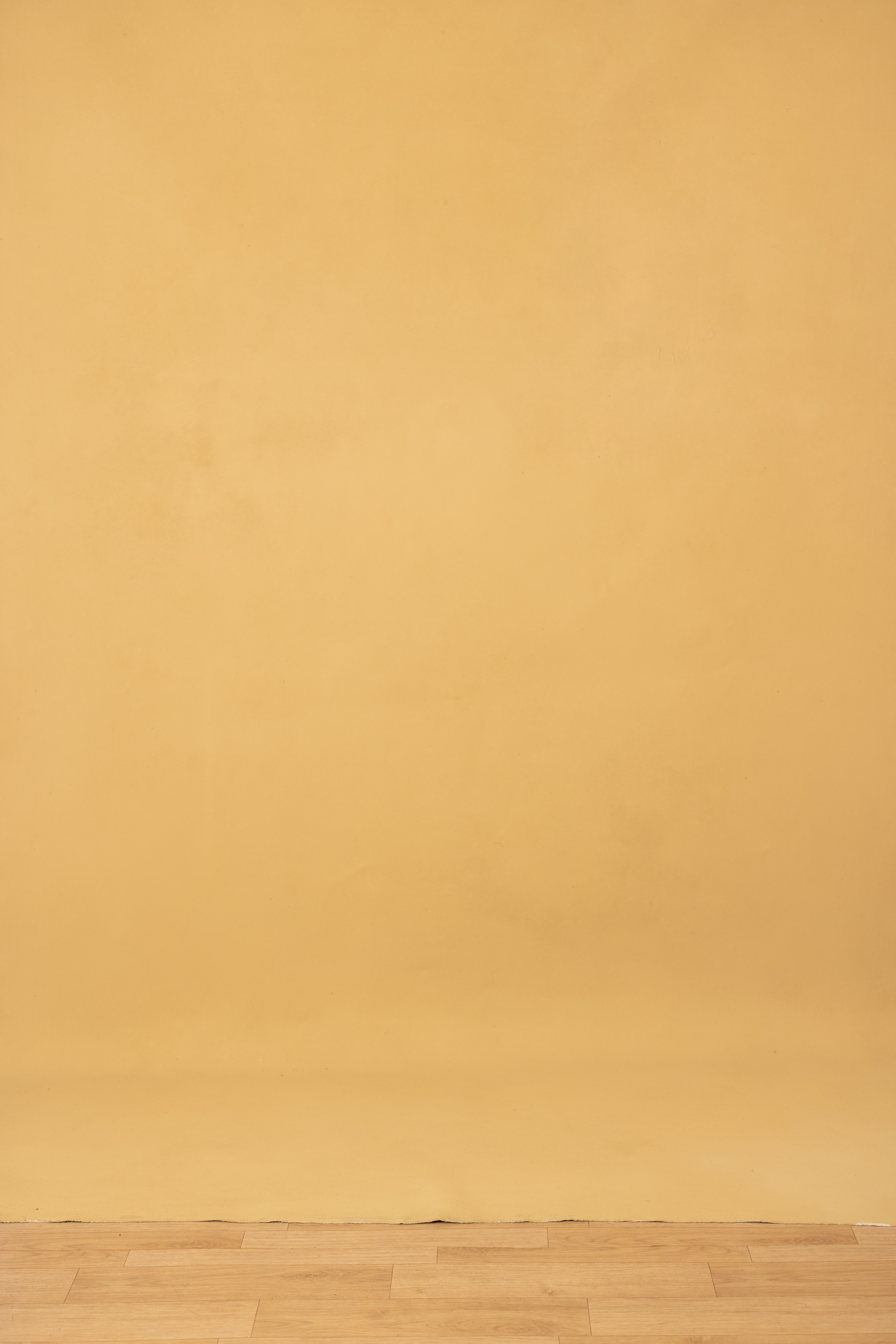 Textured Warm Beige Painted Canvas Backdrop (RN#276) view 4