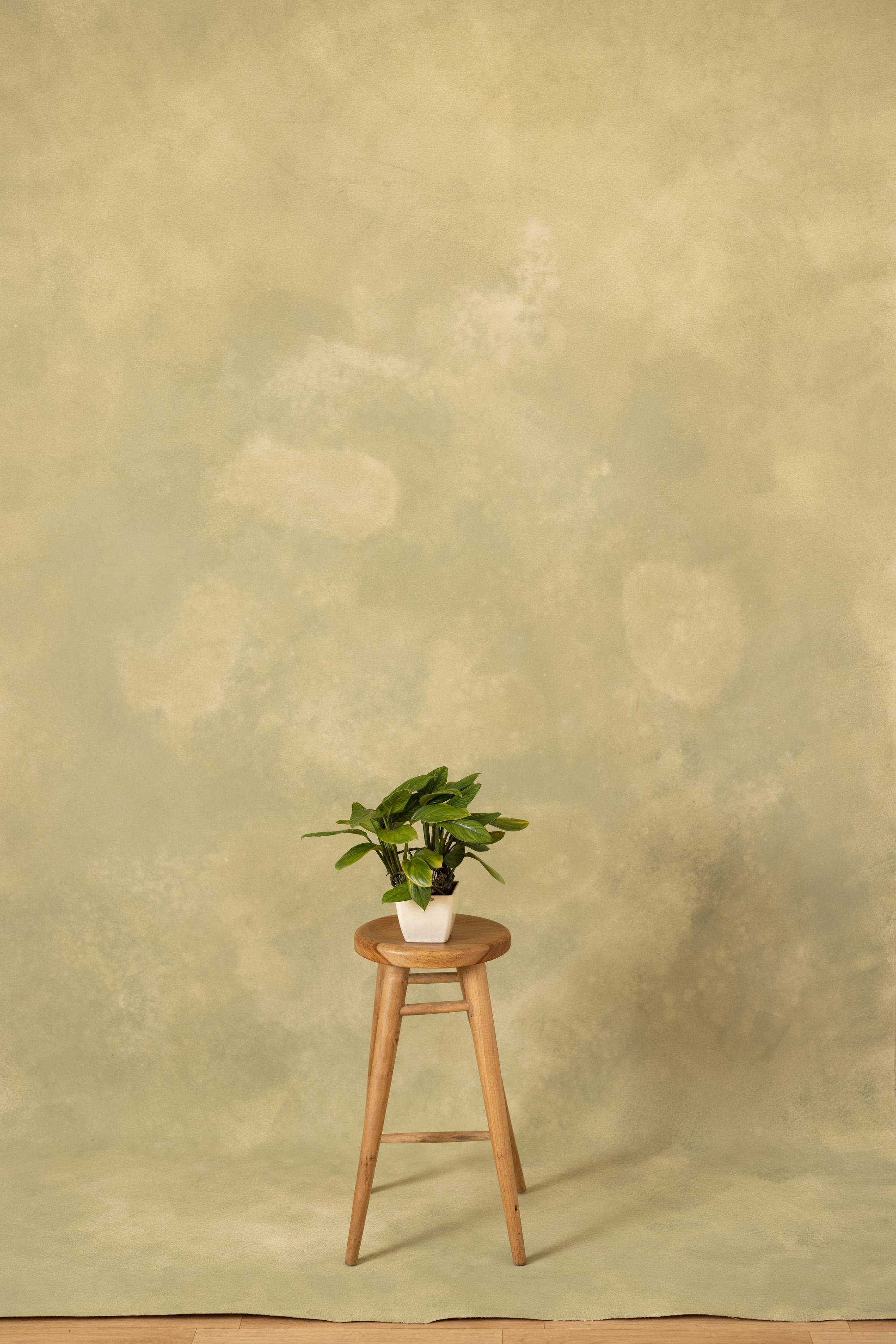 Textured Warm Beige Painted Canvas Backdrop (RN#276) view 5