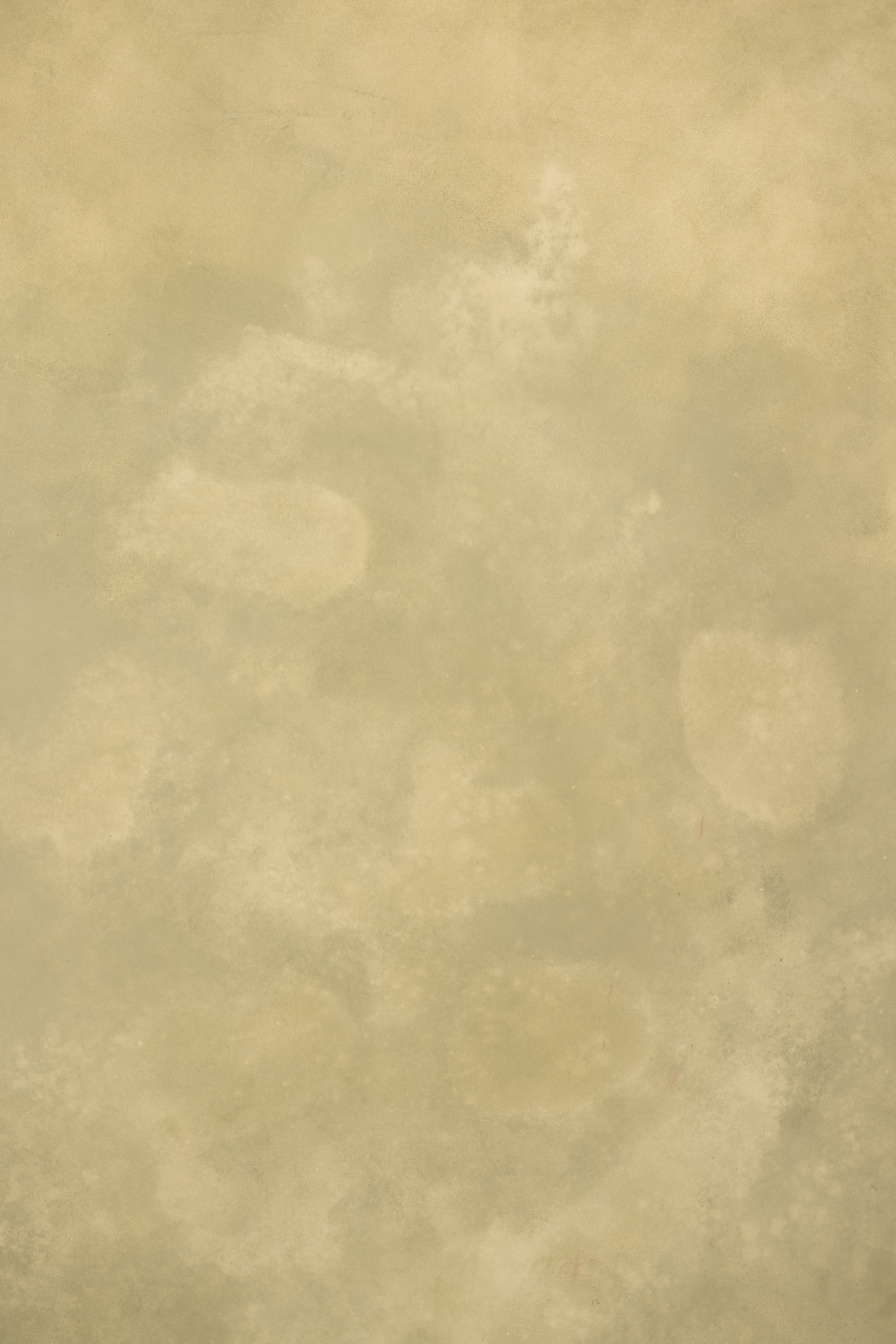 Textured Warm Beige Painted Canvas Backdrop (RN#276) view 6