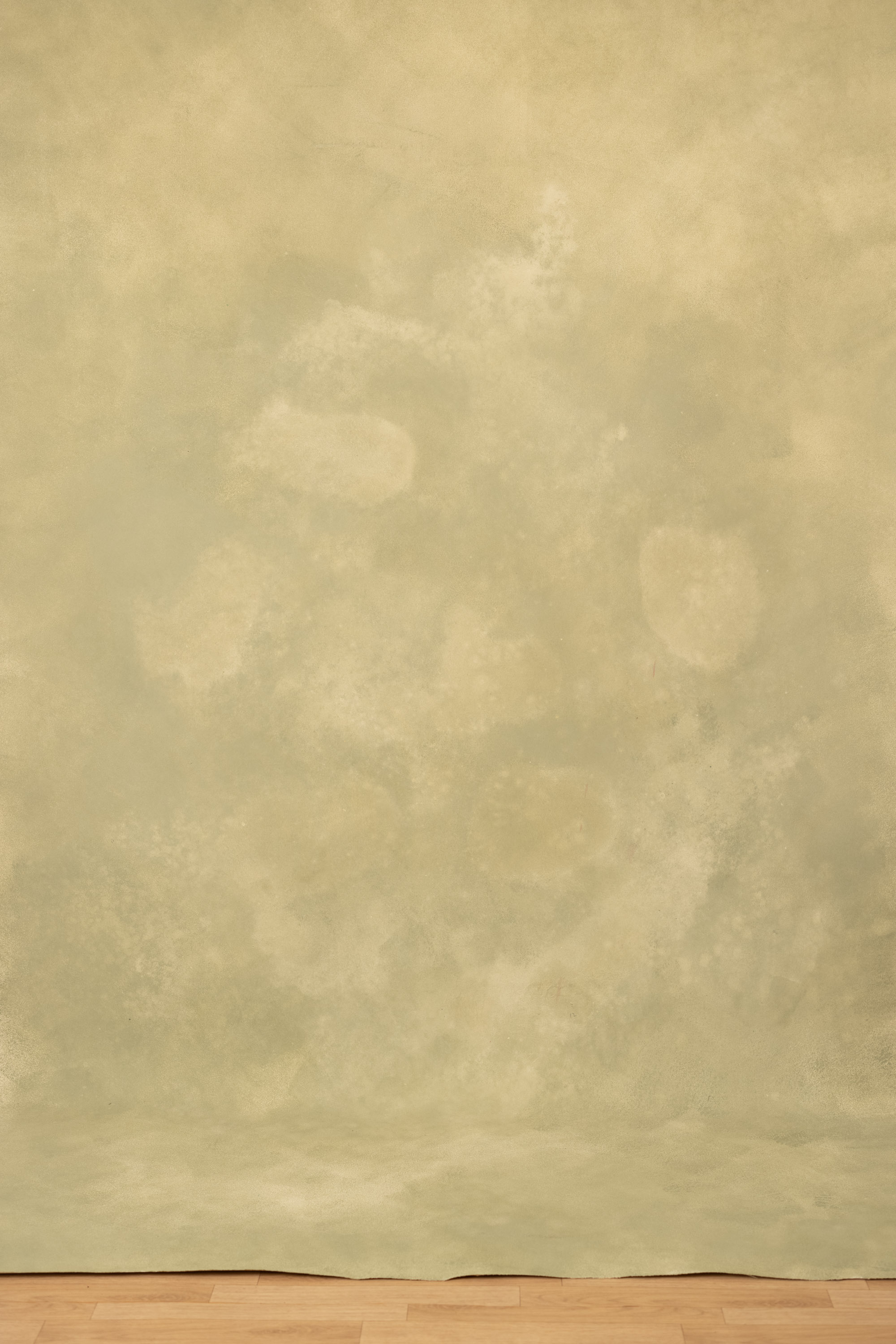 Textured Warm Beige Painted Canvas Backdrop (RN#276) view 7