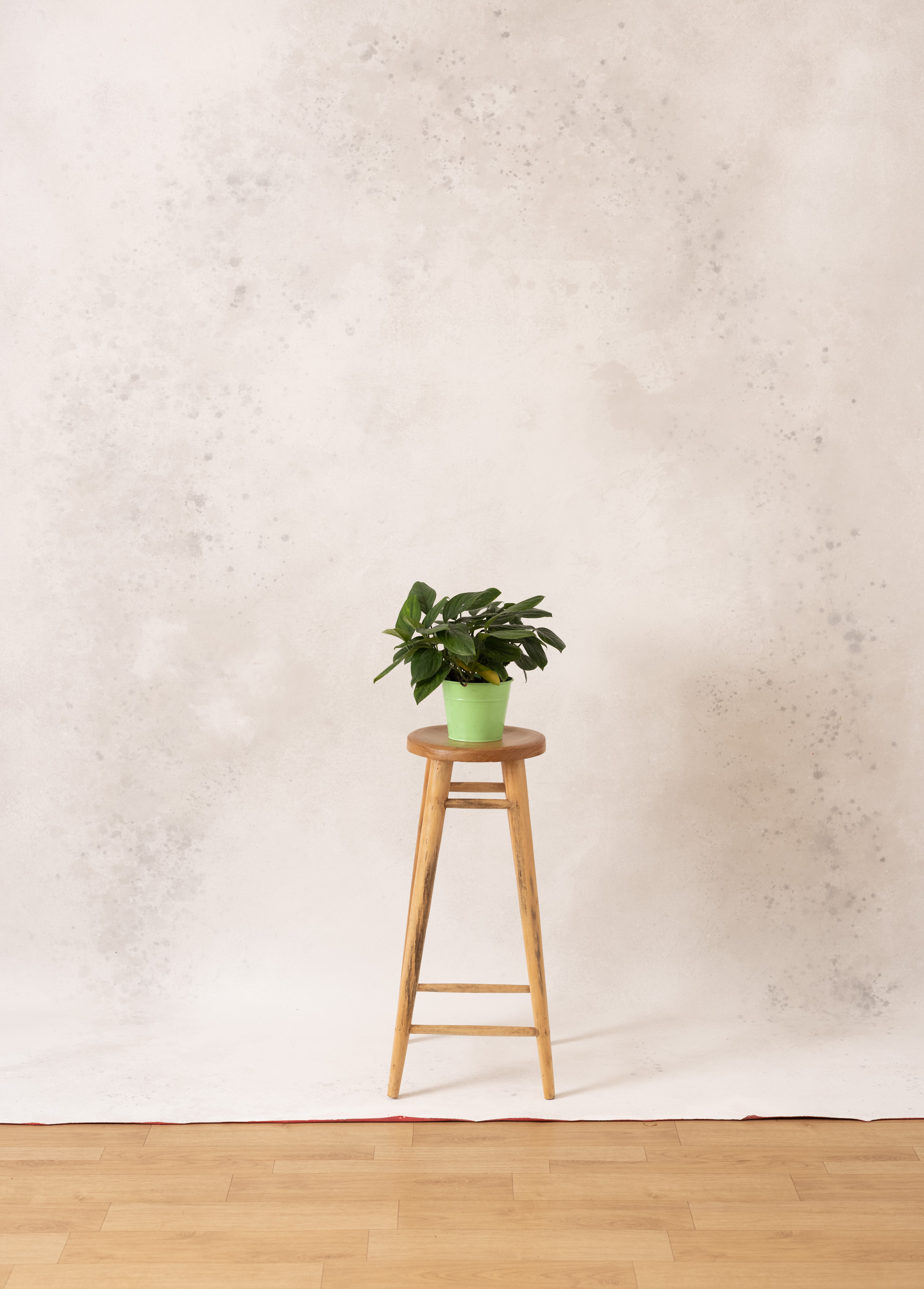 Foggy Moon Red Painted Canvas Backdrop (RN#353)