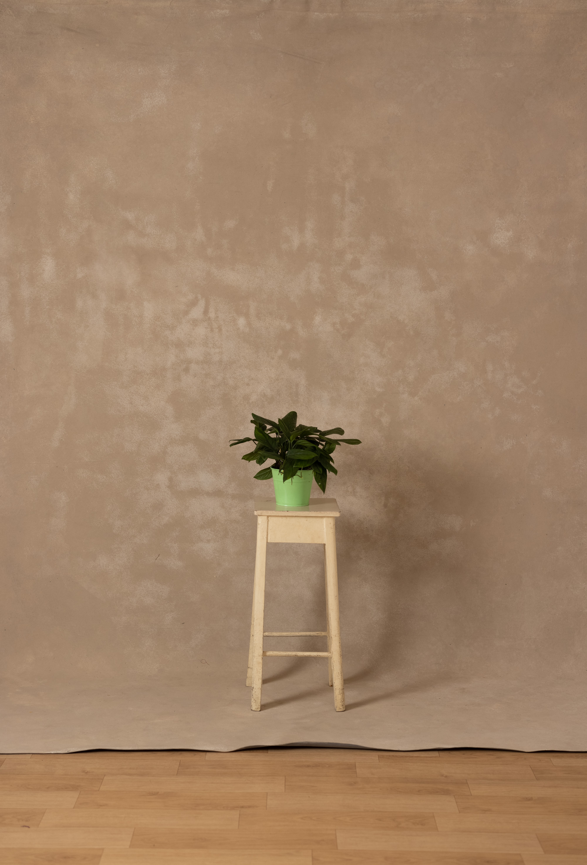 Ivory Painted Canvas Backdrop (RN#333) view 2