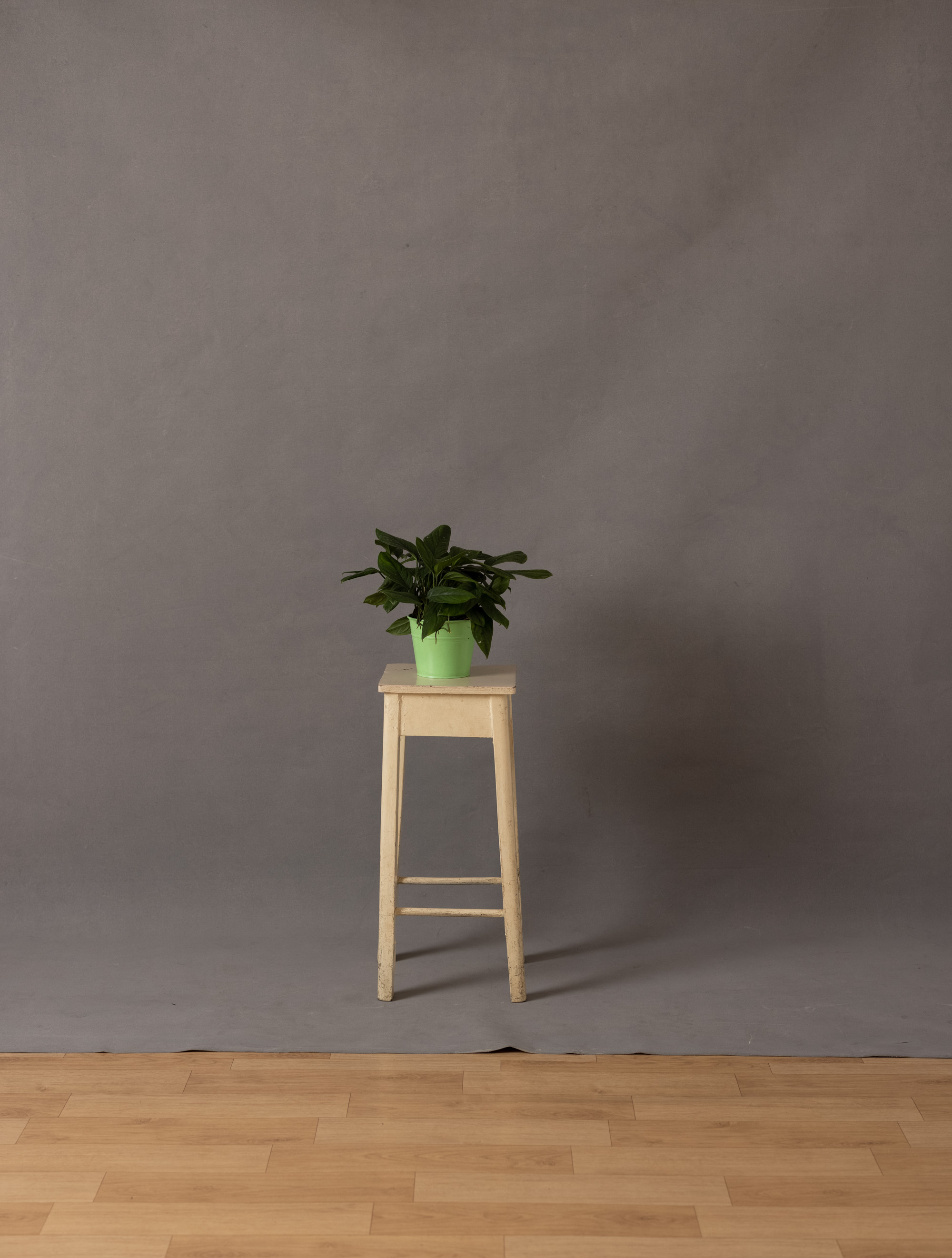 Ivory Painted Canvas Backdrop (RN#333) view 4