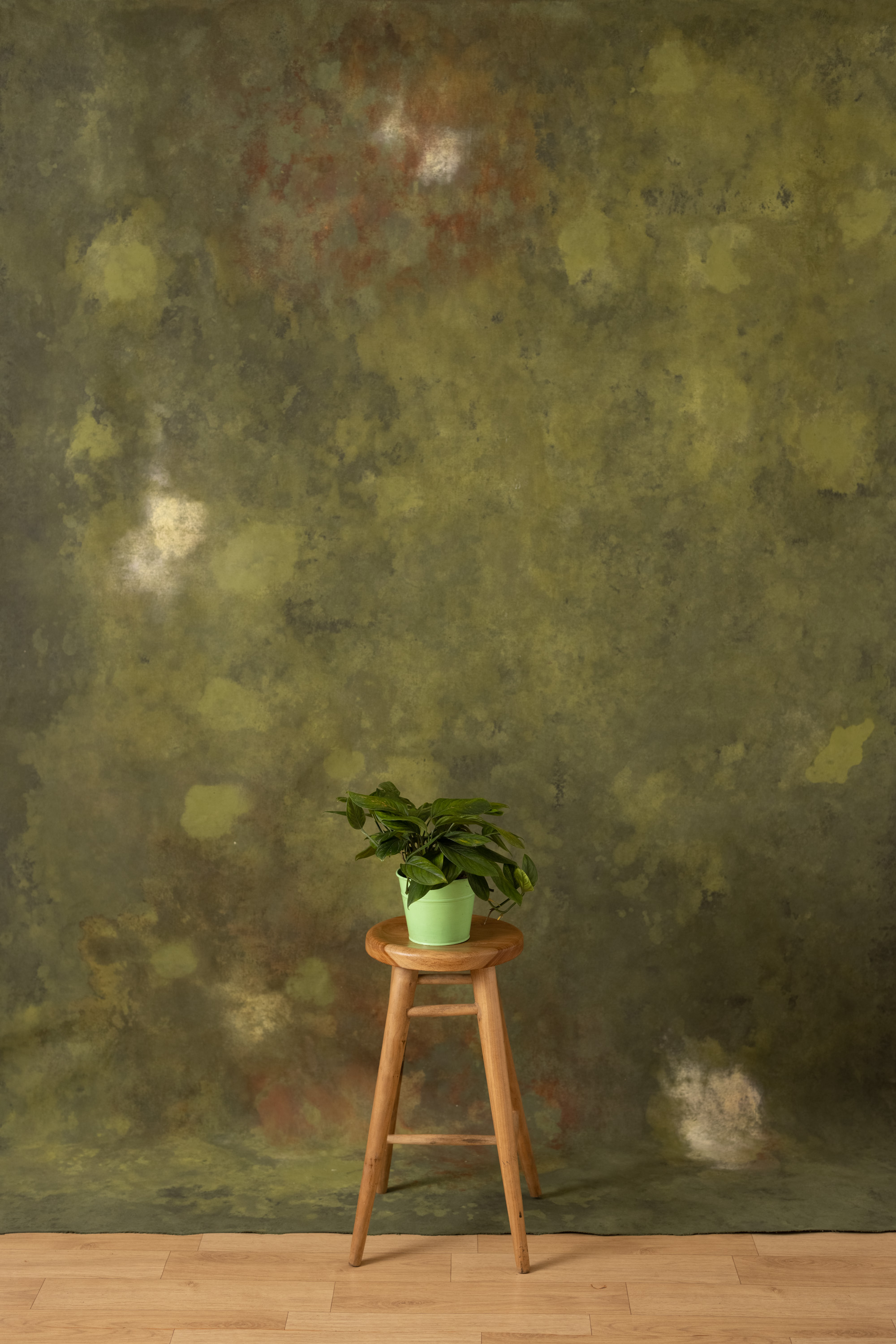 Emerald Tapestry Painted Canvas Backdrop (RN#380)
