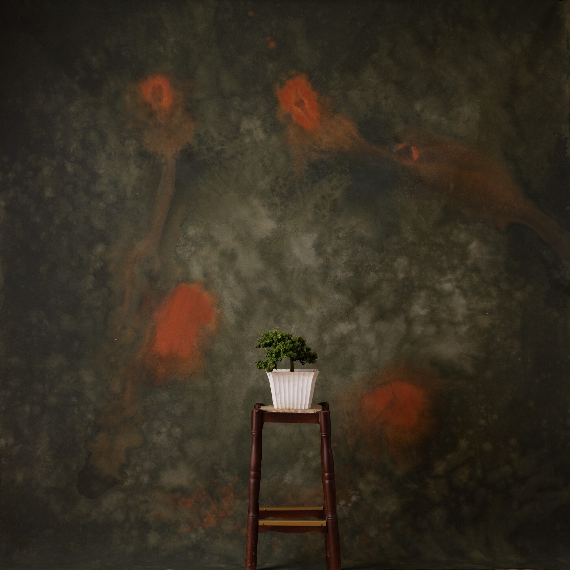 Almond Frost Painted Canvas Backdrop (RN#284)