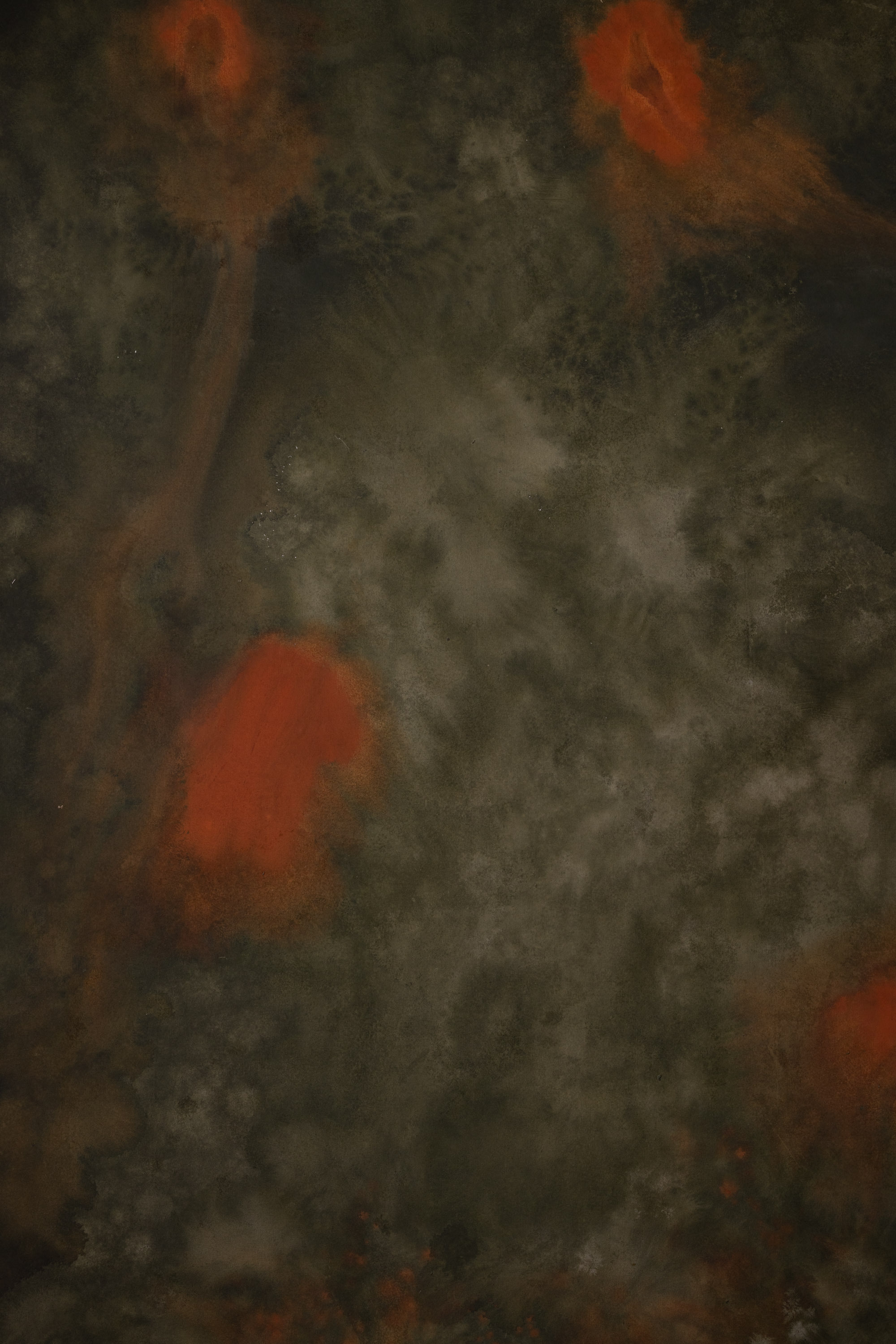 Almond Frost Painted Canvas Backdrop (RN#284) view 4