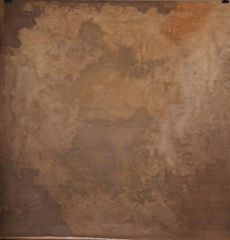 Mocha Brown Painted Canvas Backdrop (RN#298) view 4