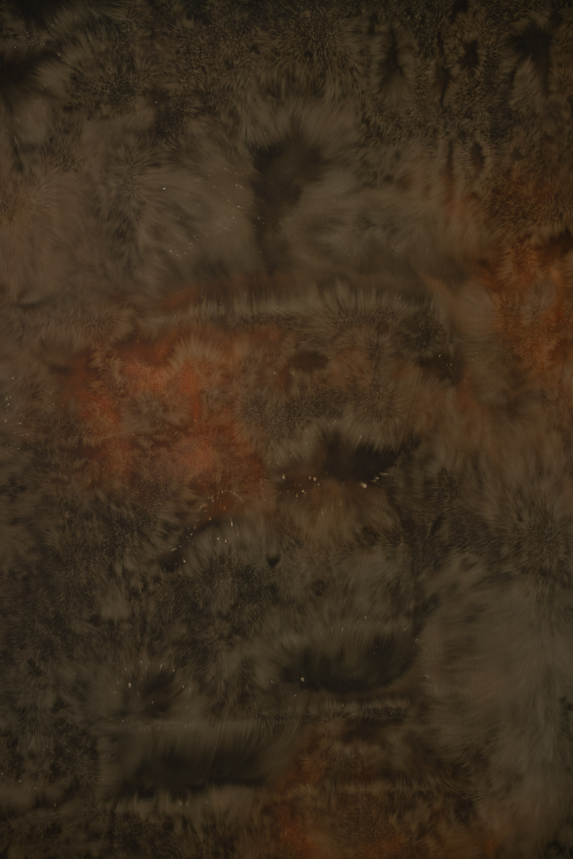 French Beige Painted Canvas Backdrop (RN#283) view 2