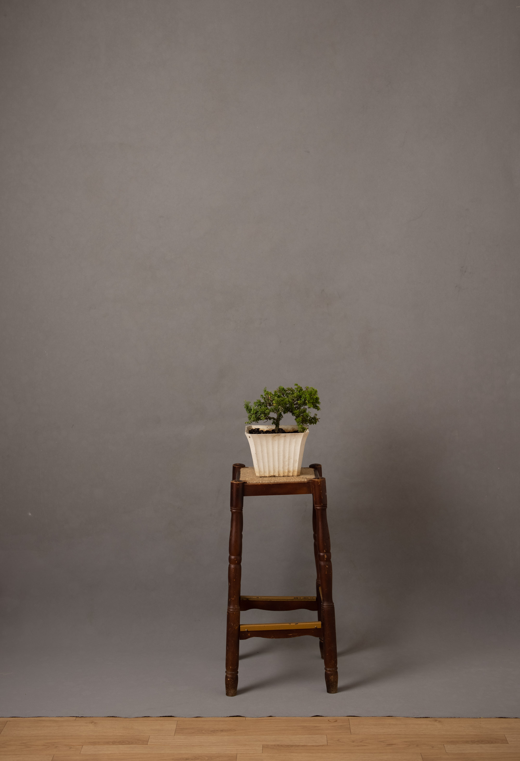 Green distressed and grey Painted Canvas Backdrop (RN#343)