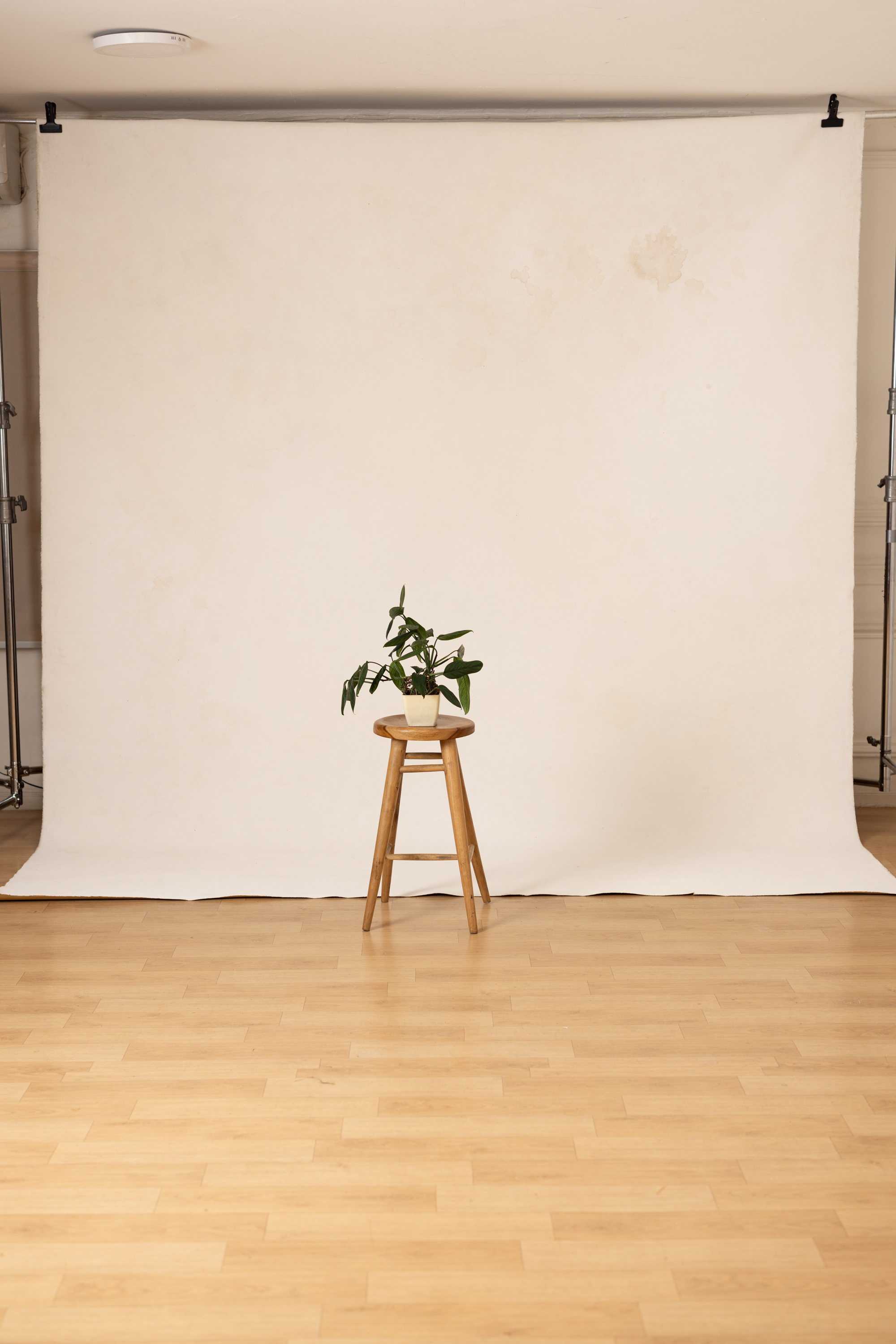 BeigeWhite  Painted Canvas Backdrop (RN#277) view 2