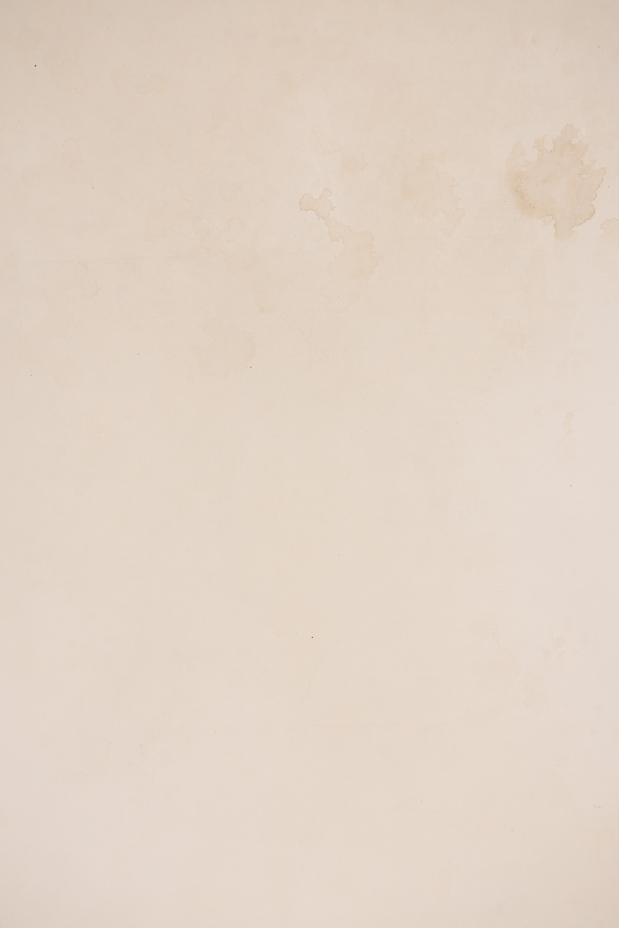 BeigeWhite  Painted Canvas Backdrop (RN#277) view 4