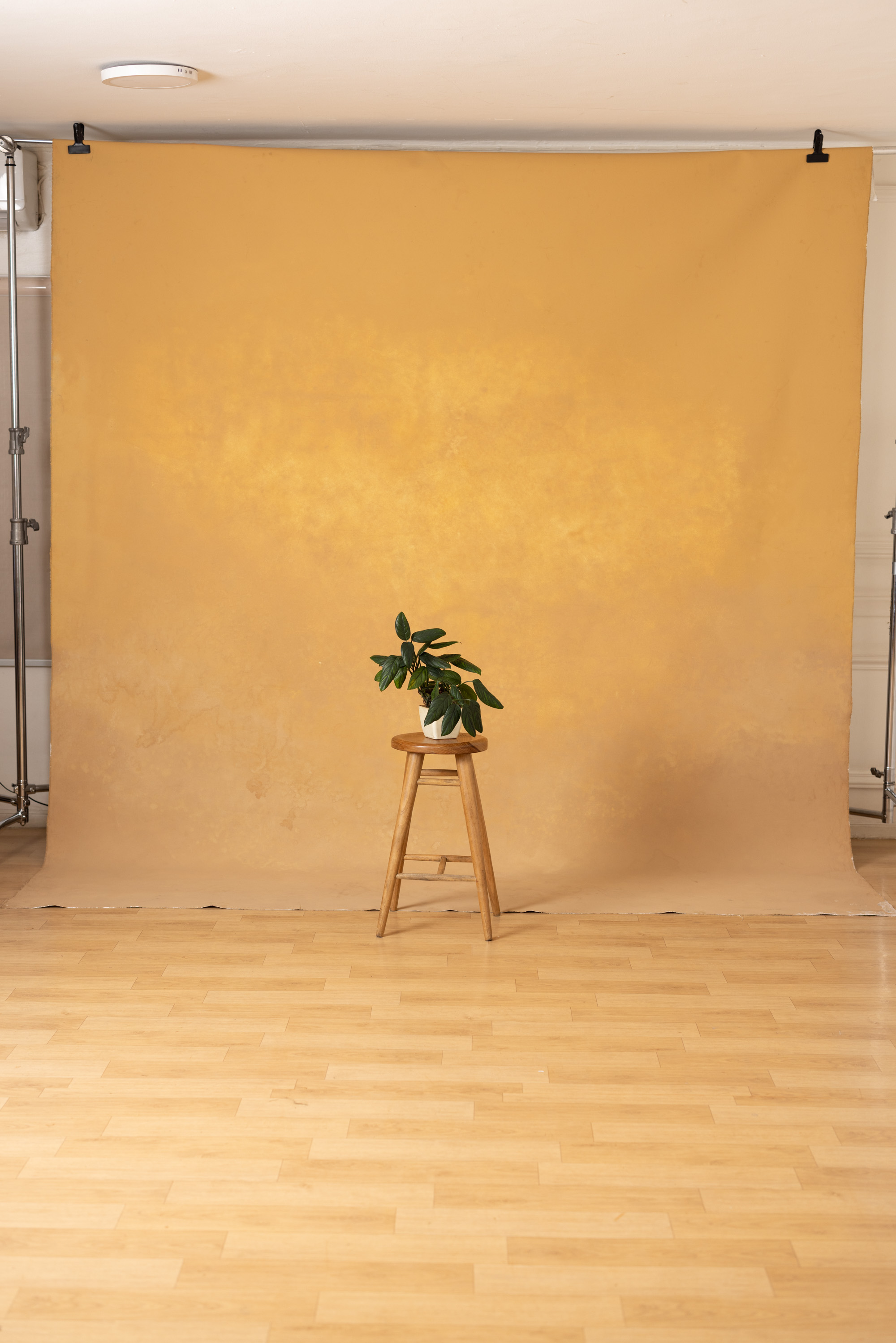 BeigeWhite  Painted Canvas Backdrop (RN#277) view 6