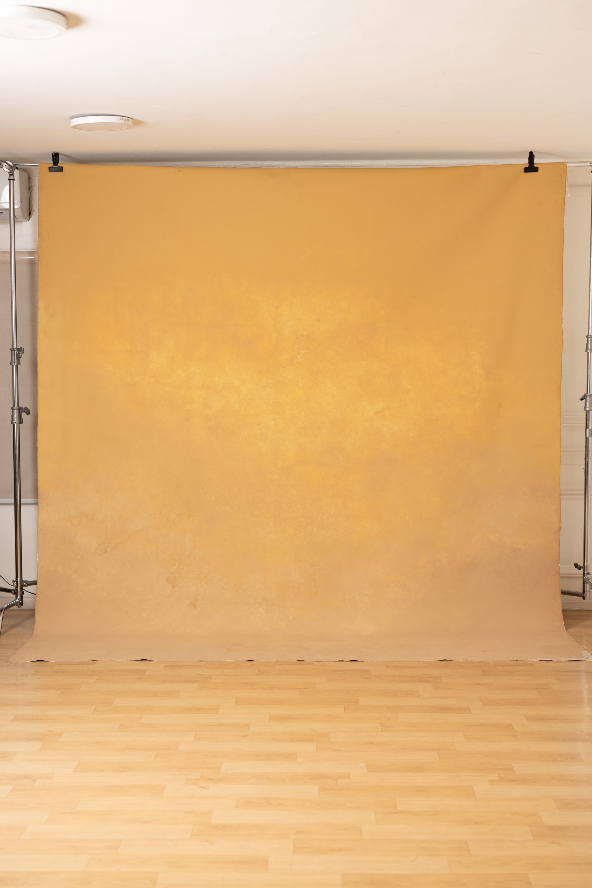 BeigeWhite  Painted Canvas Backdrop (RN#277) view 7