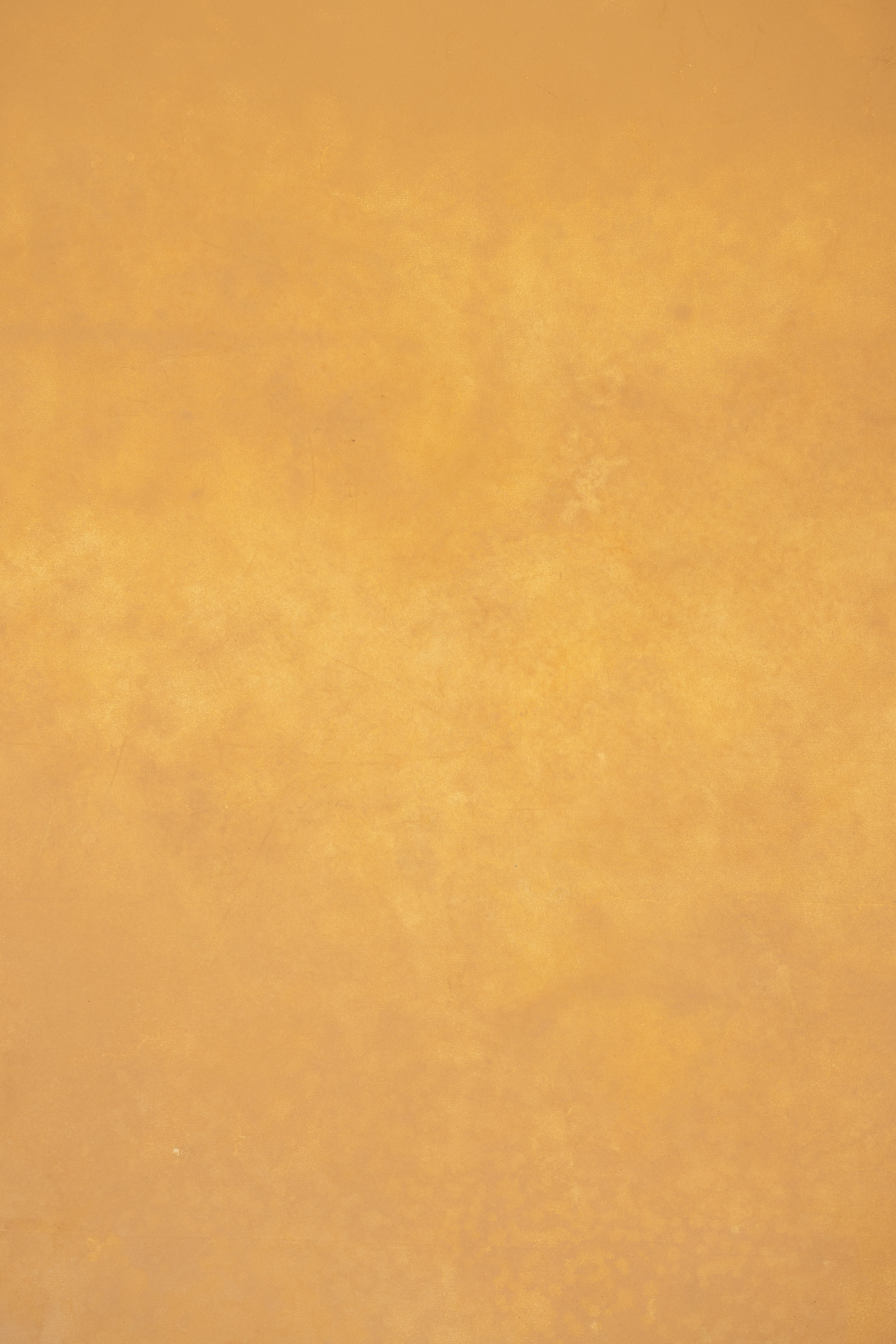 BeigeWhite  Painted Canvas Backdrop (RN#277) view 8