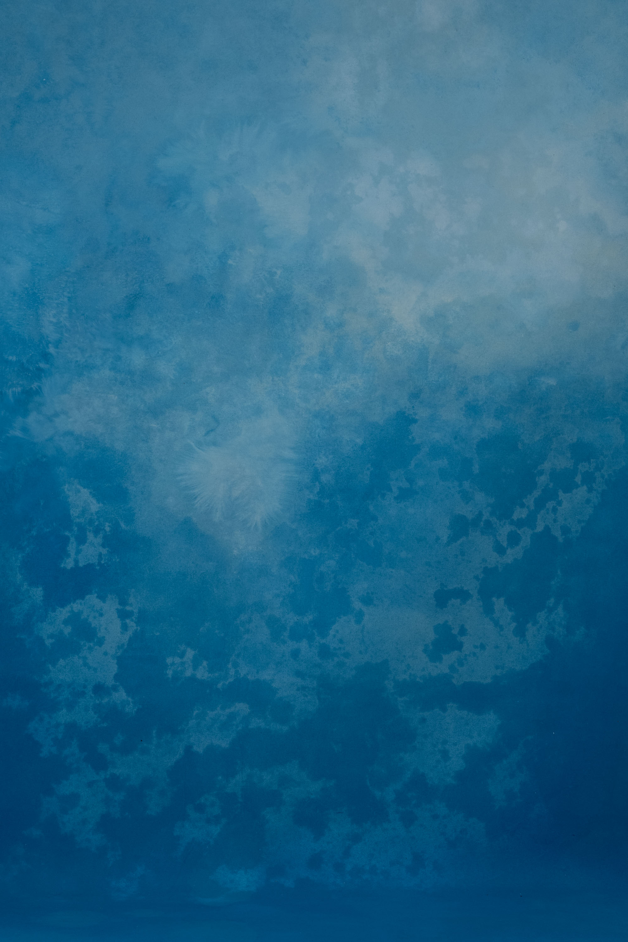 Blue Mist Painted Canvas Backdrop (RN#339) view 4