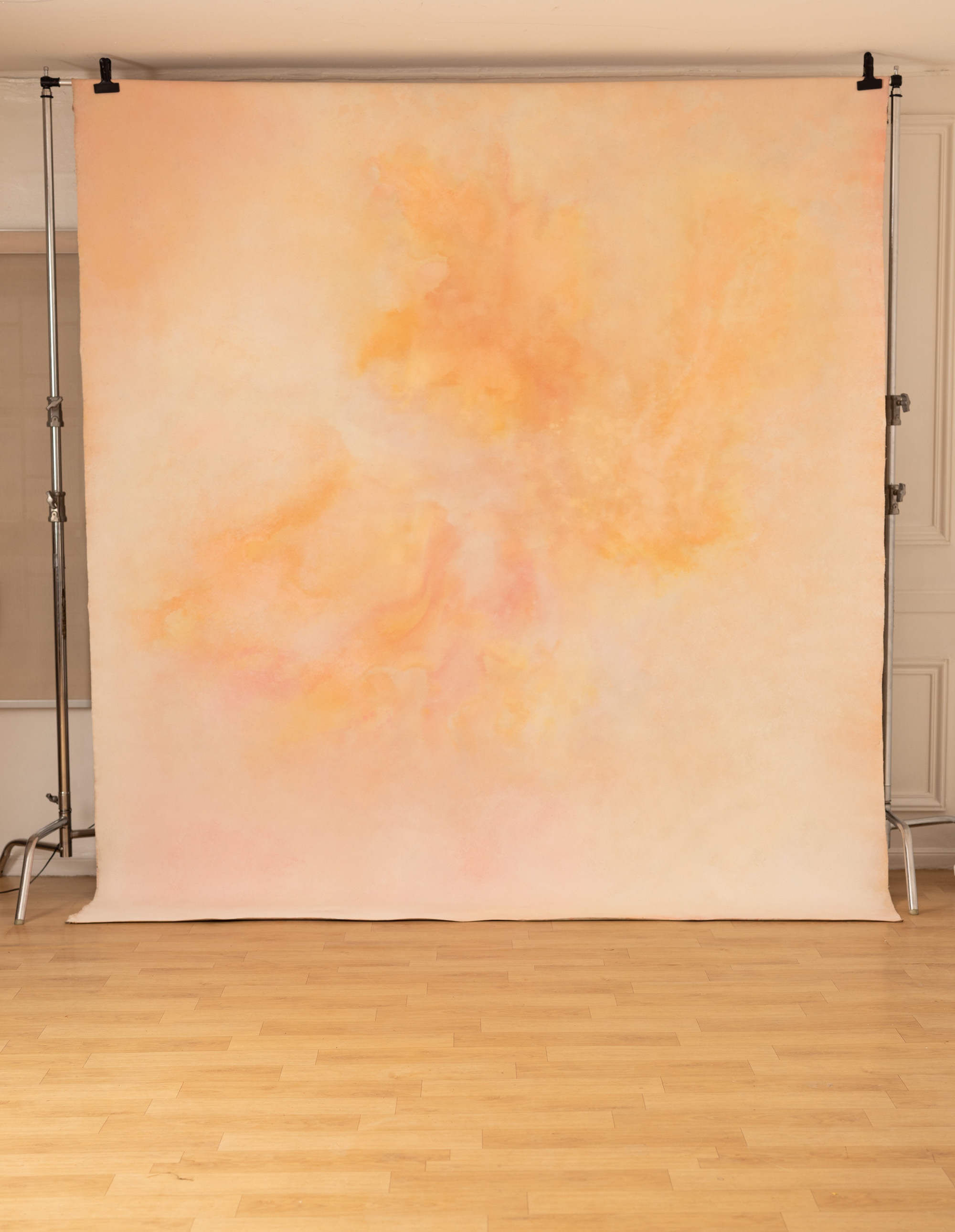 Rusty Pink Painted Canvas Backdrop (RN#349) view 2