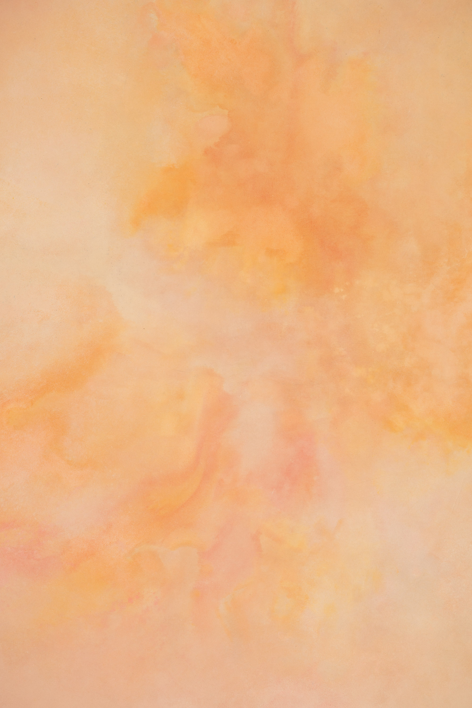 Rusty Pink Painted Canvas Backdrop (RN#349) view 3