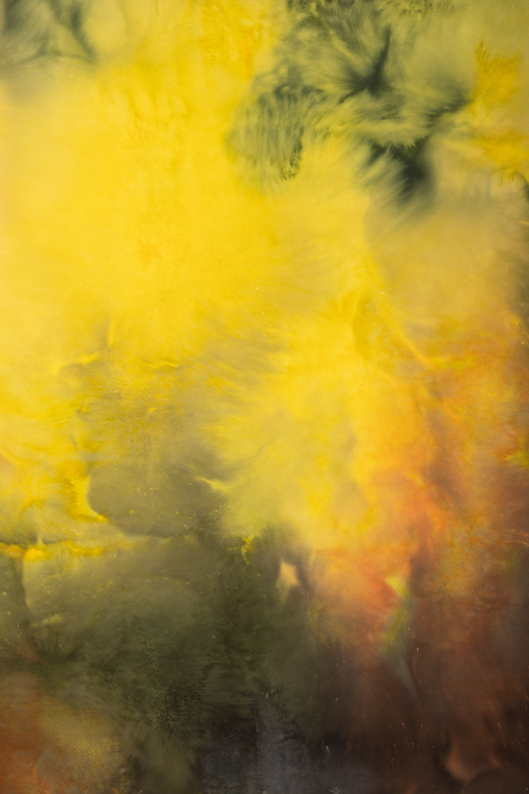 Mustard Forest Green Painted Canvas Backdrop (RN#154) view 3