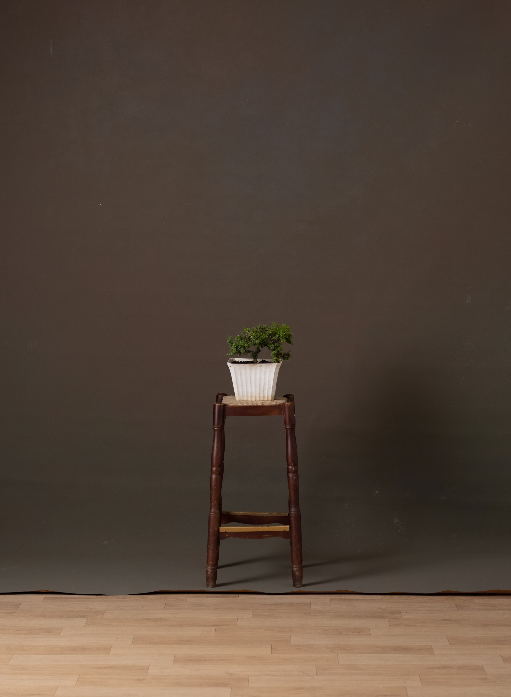 Peachy Browners Painted Canvas Backdrop (RN#340)