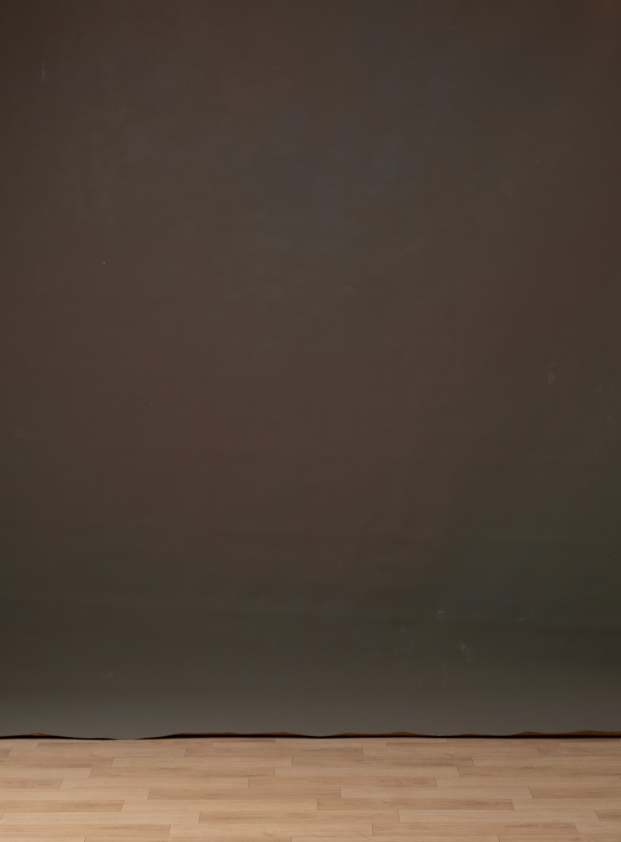 Peachy Browners Painted Canvas Backdrop (RN#340) view 2