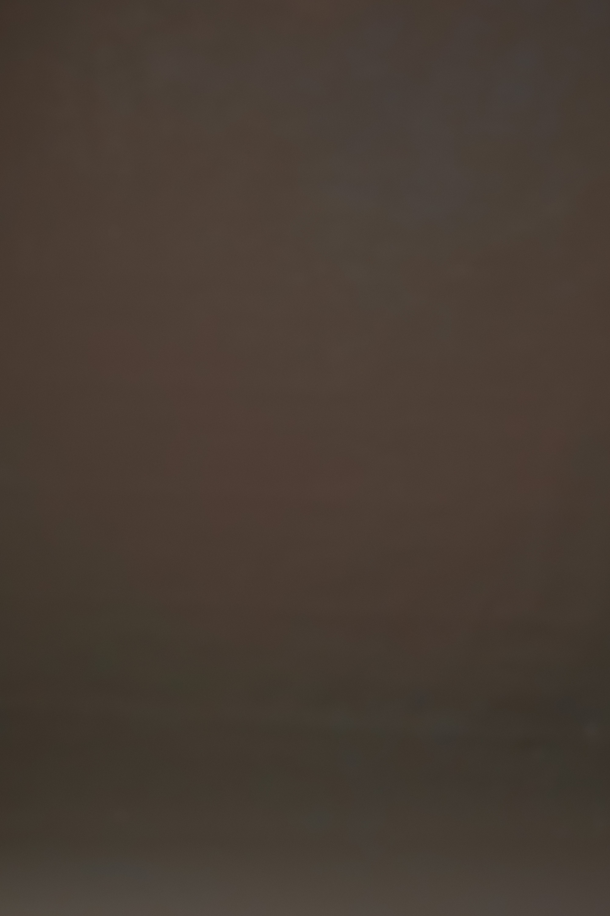 Peachy Browners Painted Canvas Backdrop (RN#340) view 3