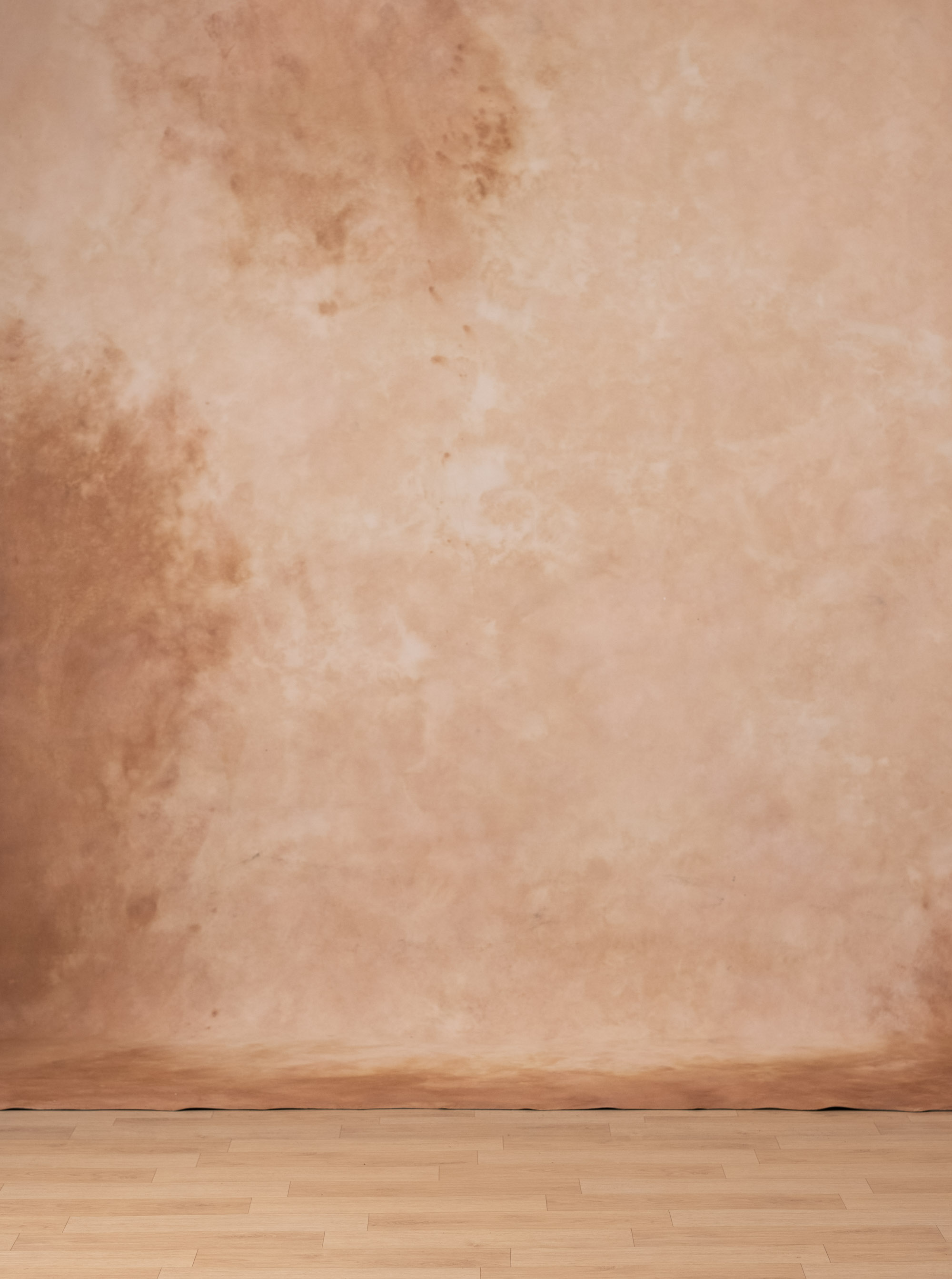 Peachy Browners Painted Canvas Backdrop (RN#340) view 6