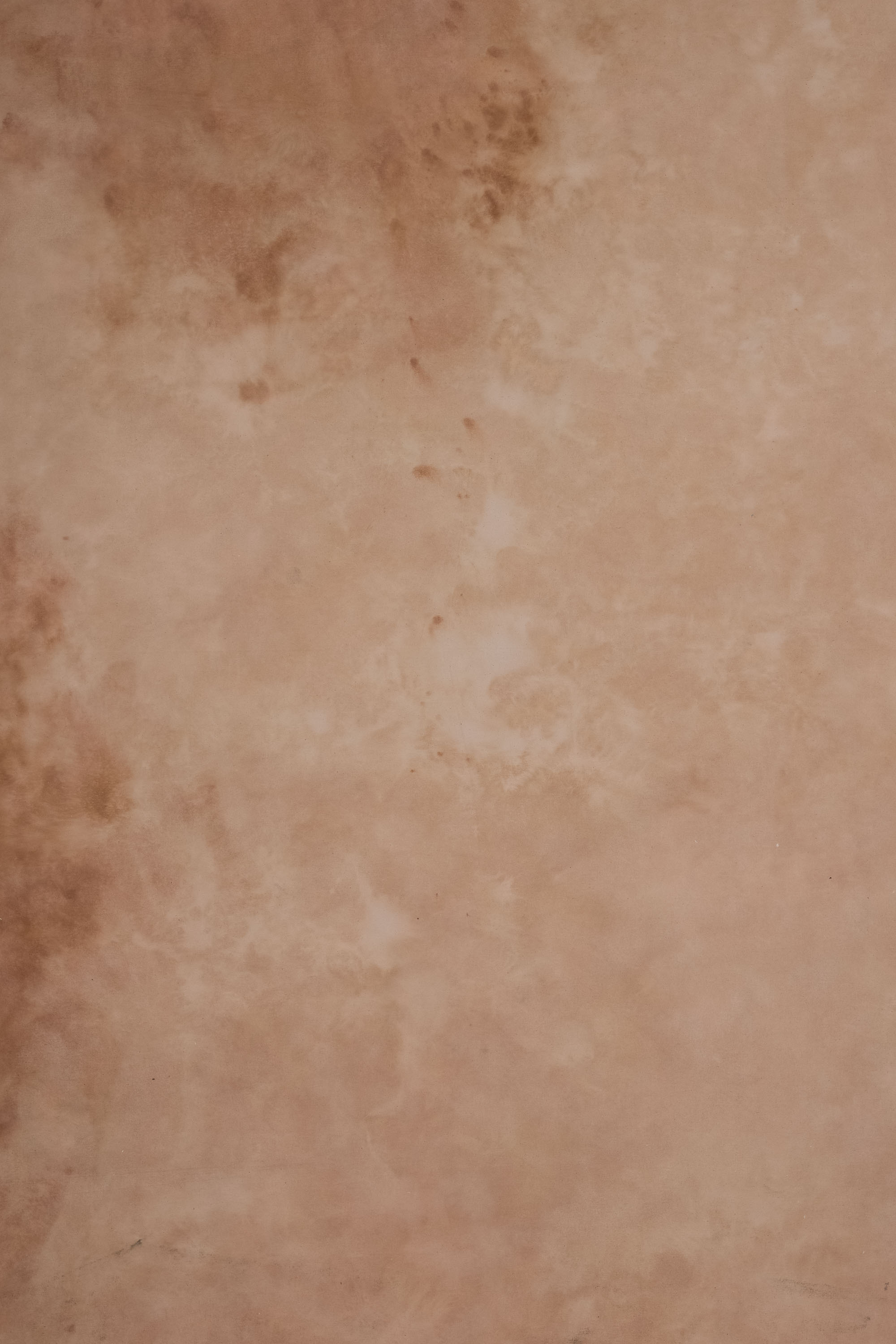 Peachy Browners Painted Canvas Backdrop (RN#340) view 7