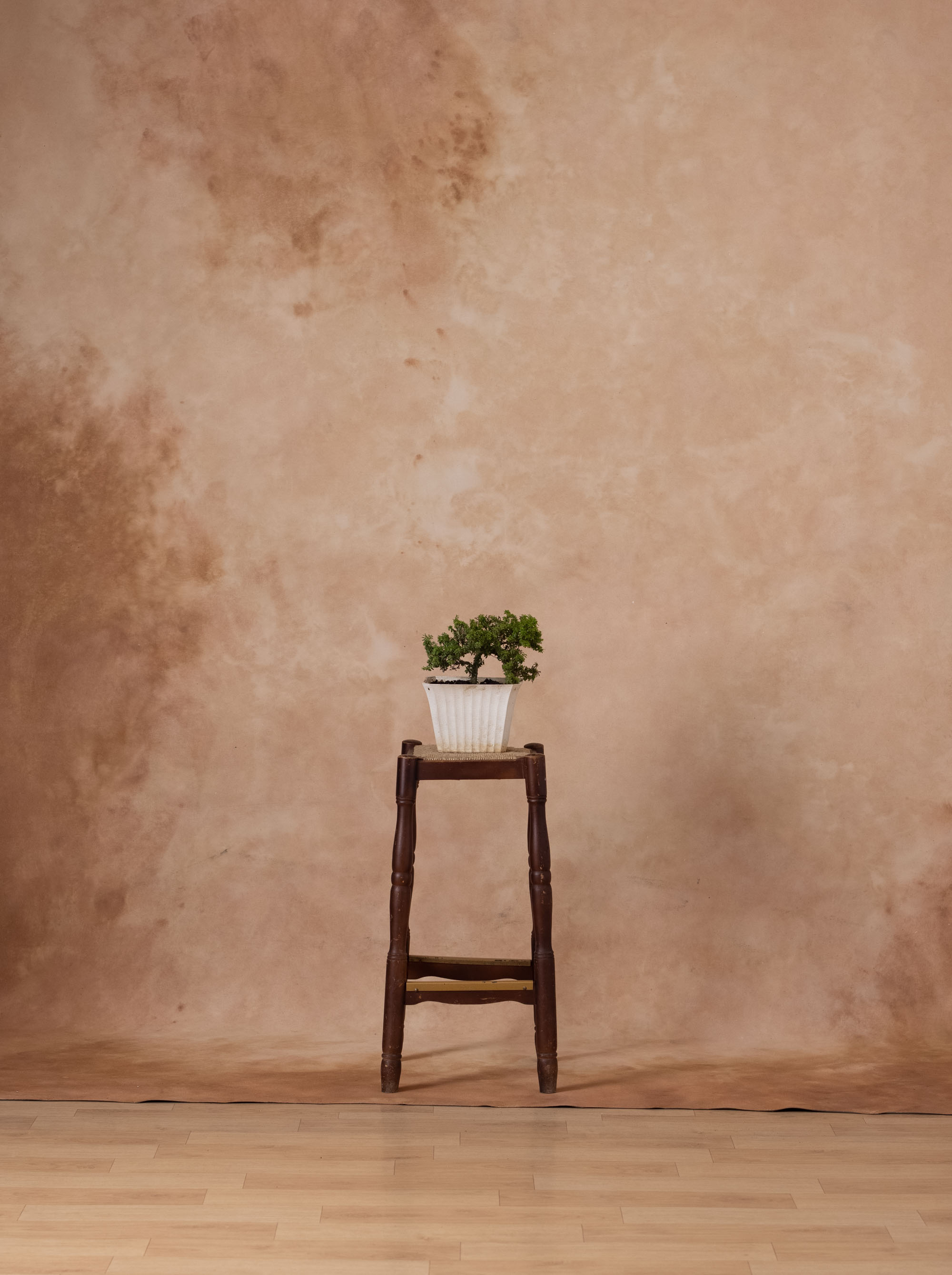 Peachy Browners Painted Canvas Backdrop (RN#340) view 8