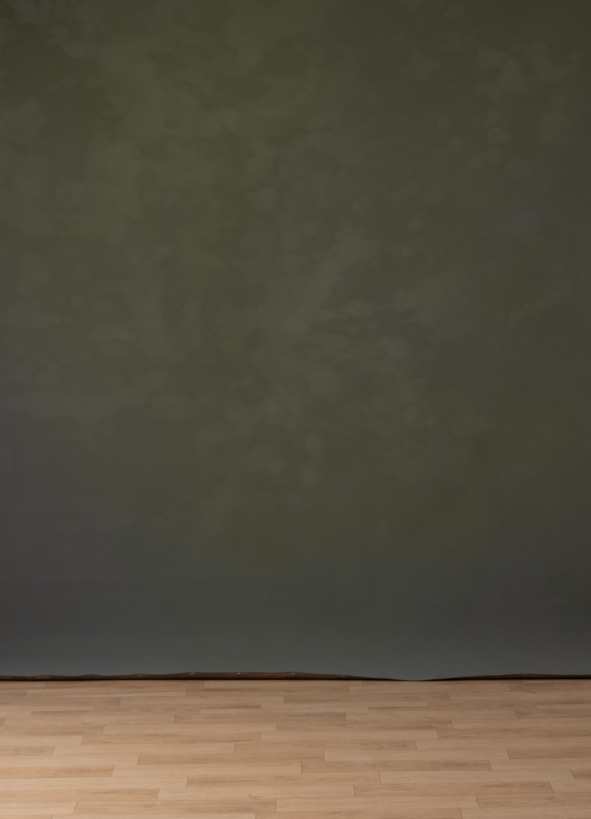 Turkish Tea Green and Brown Painted Canvas Backdrop (RN#338) view 2