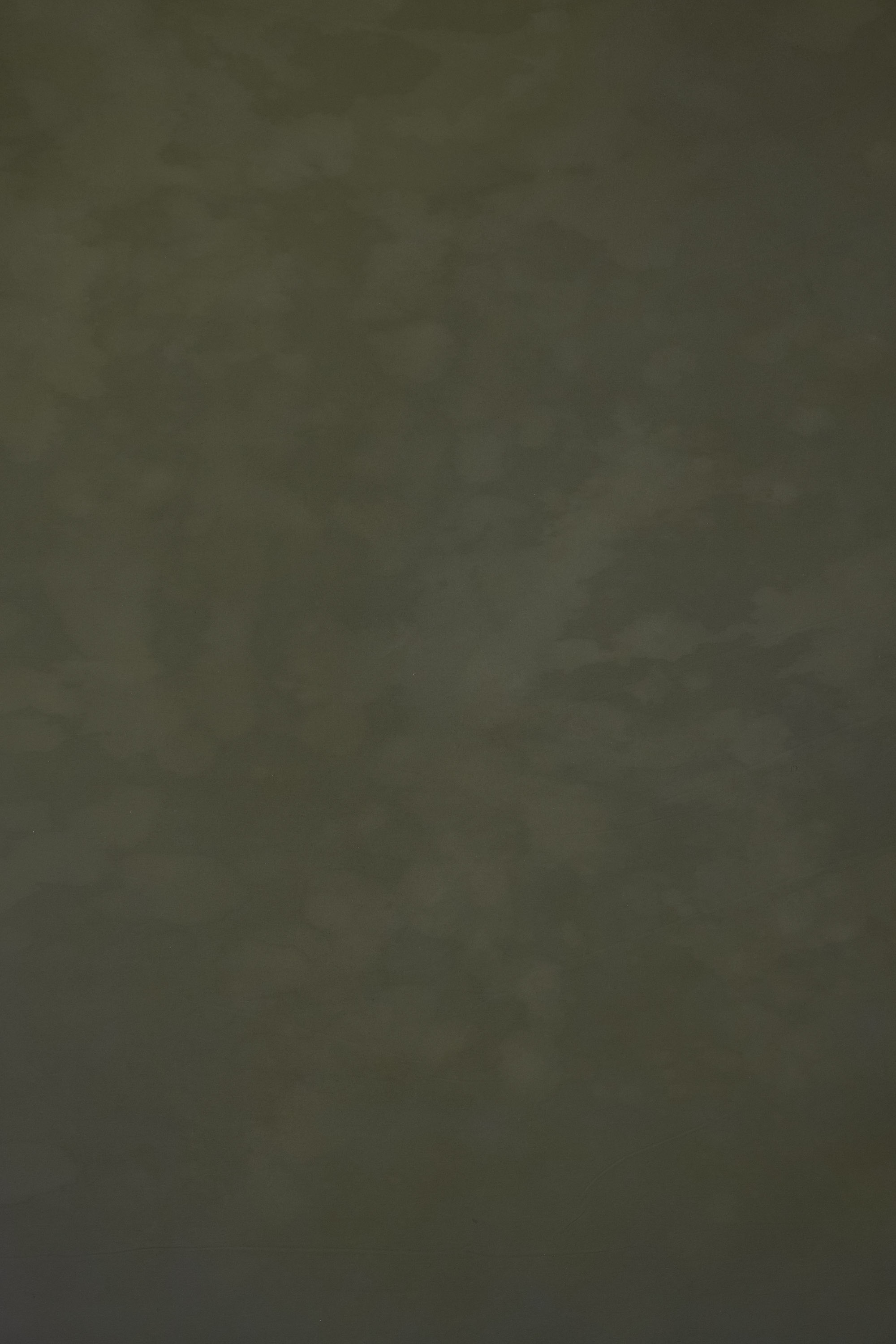 Turkish Tea Green and Brown Painted Canvas Backdrop (RN#338) view 3