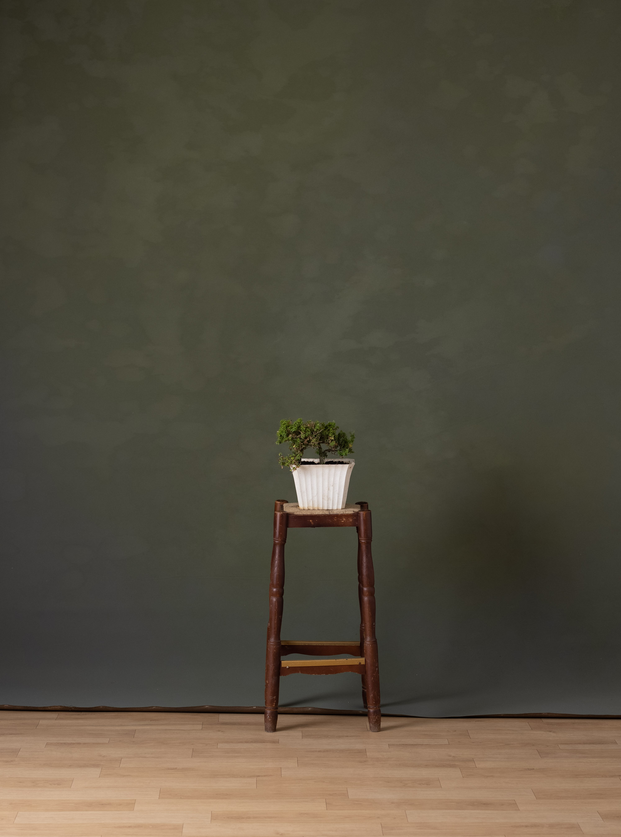 Turkish Tea Green and Brown Painted Canvas Backdrop (RN#338) view 4