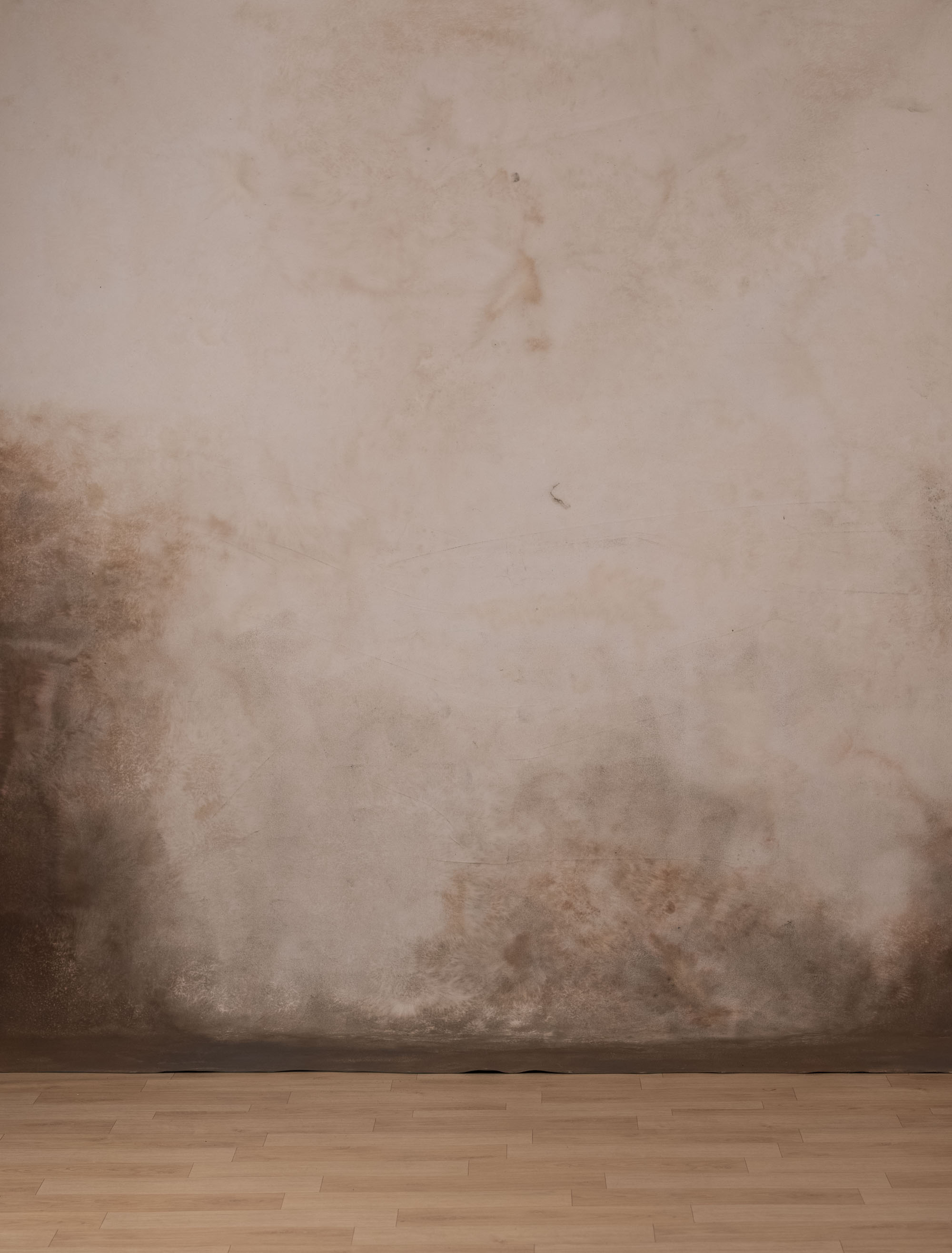 Turkish Tea Green and Brown Painted Canvas Backdrop (RN#338) view 6