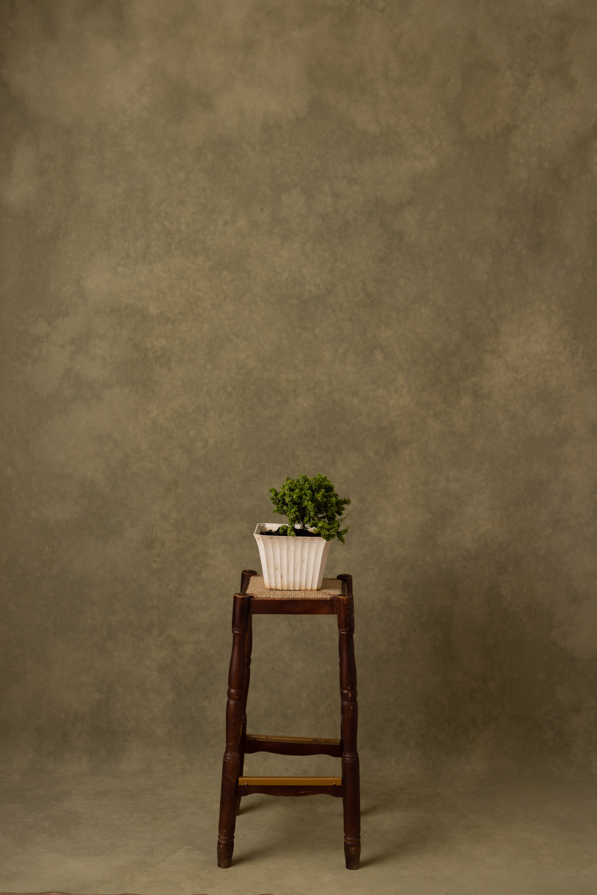 Dry Spyro Green Painted Canvas Backdrop (RN#323) view 3